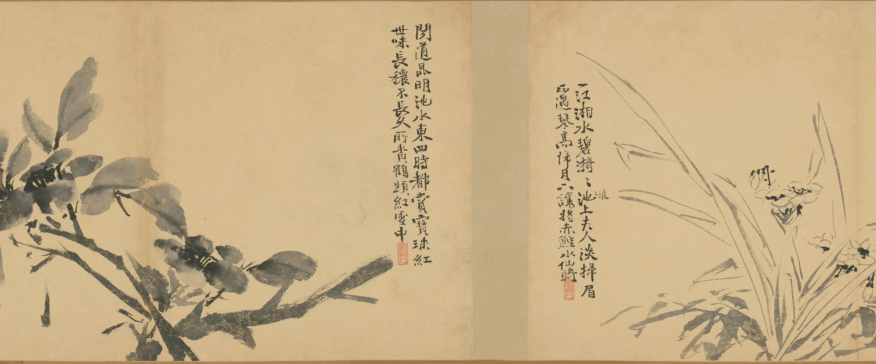 明朝【徐渭】《墨花卷》 第15张