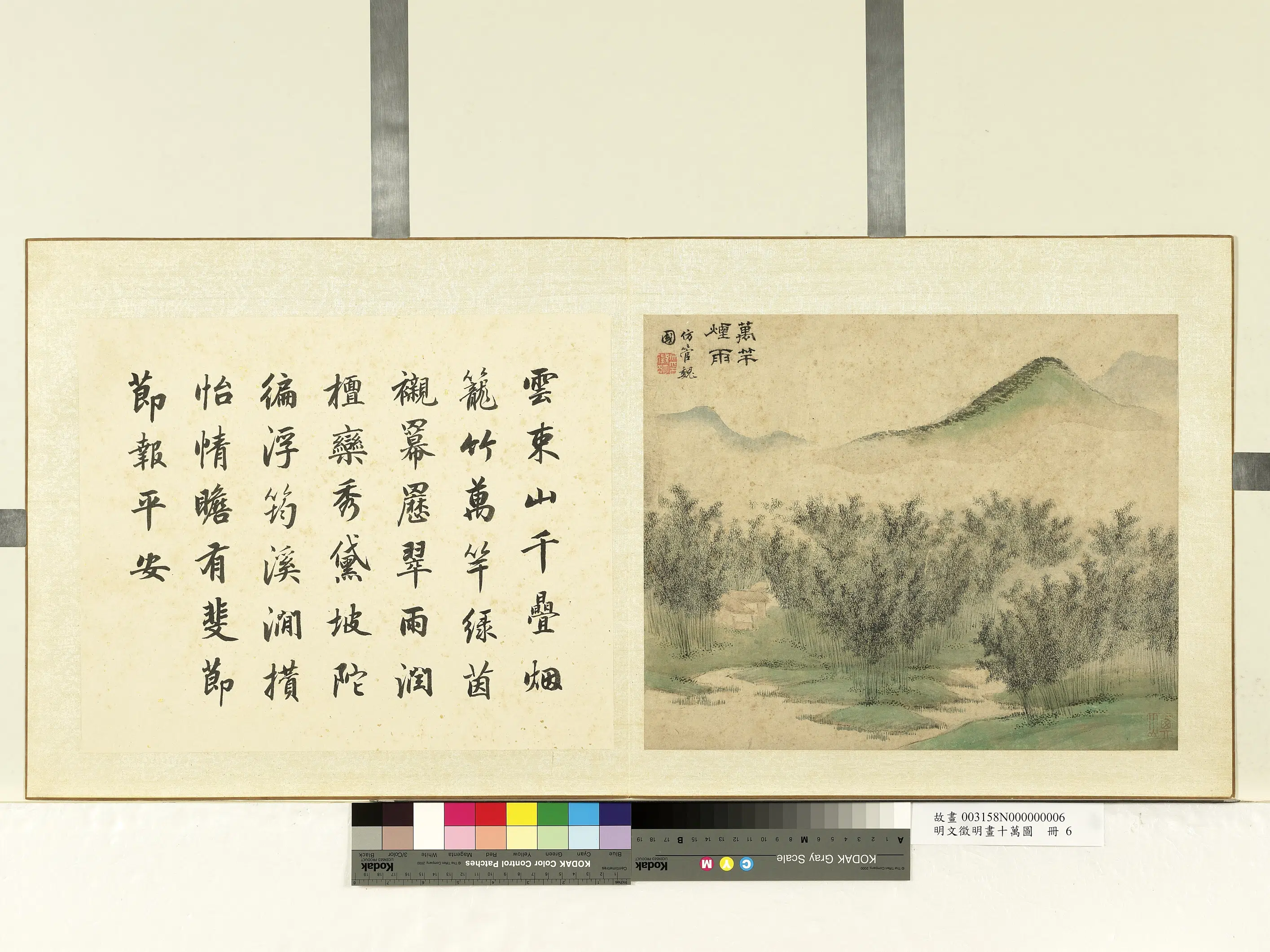 明朝【文征明徵明】《画十万图册-万竿烟雨》 第1张