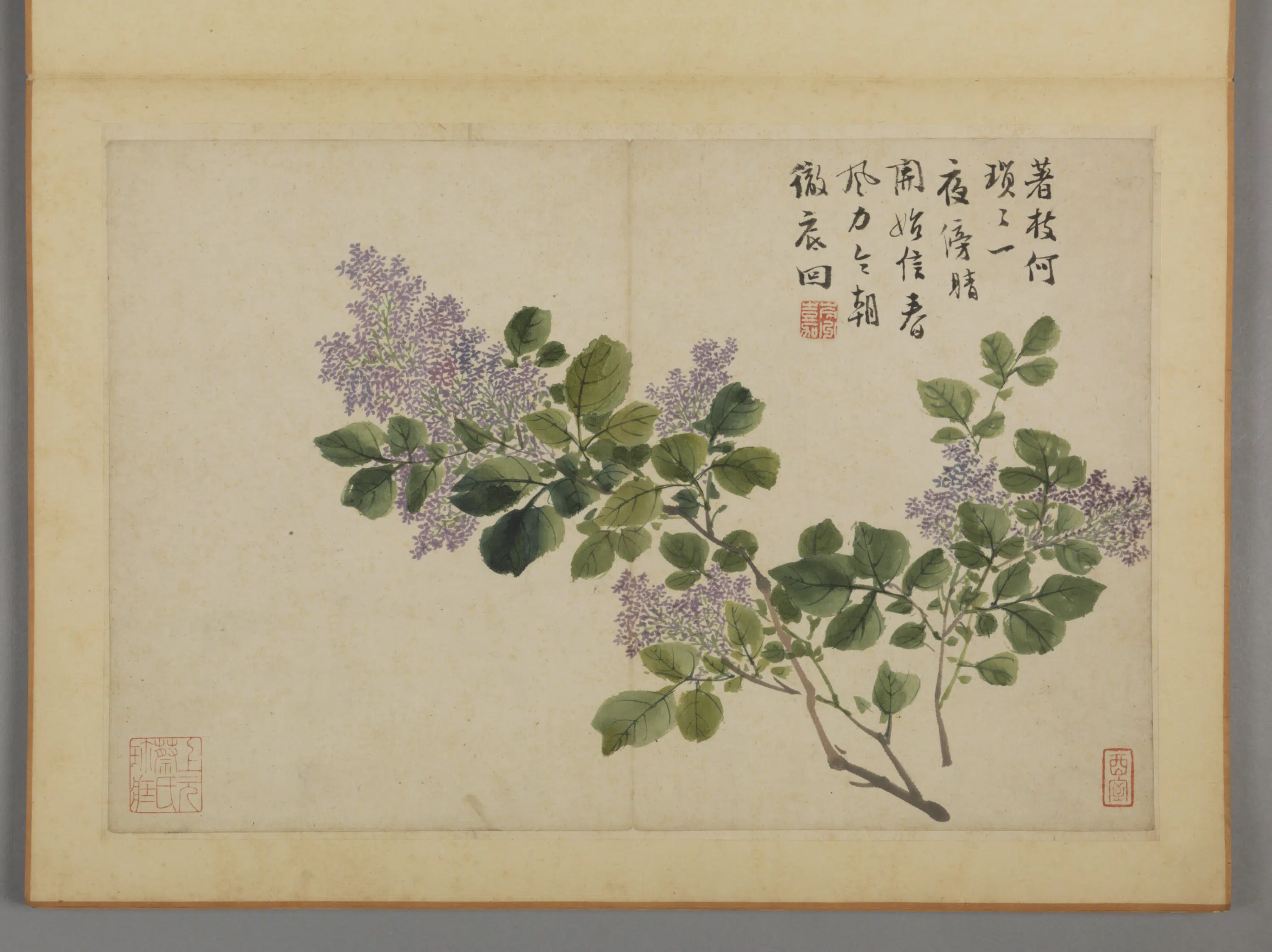 清代【蔡嘉】《花卉图册（12开）》 第11张