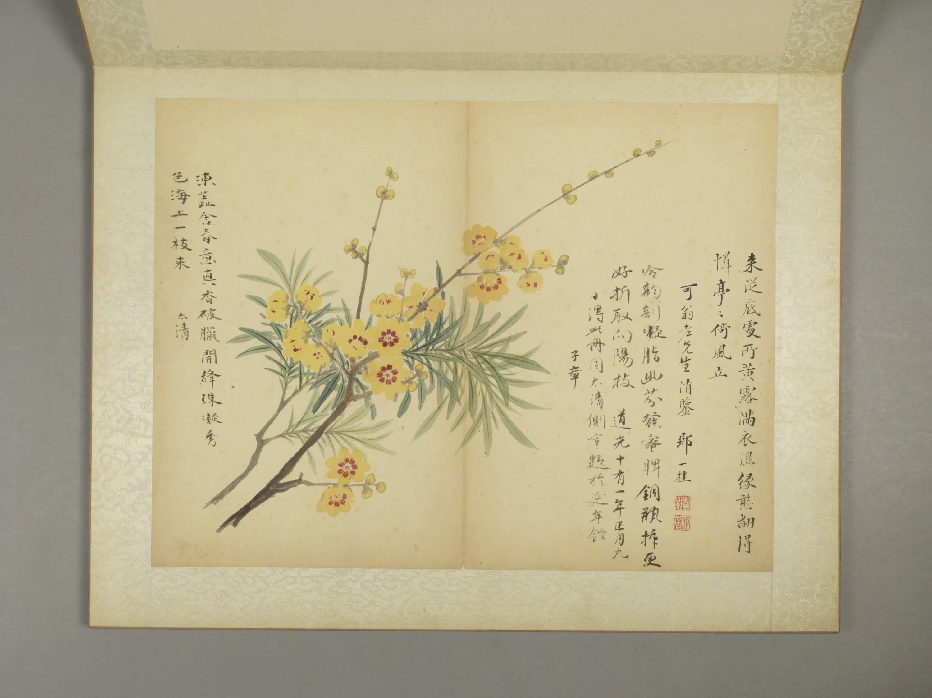 清代【邹一桂】《花卉图册（11开）》 第4张