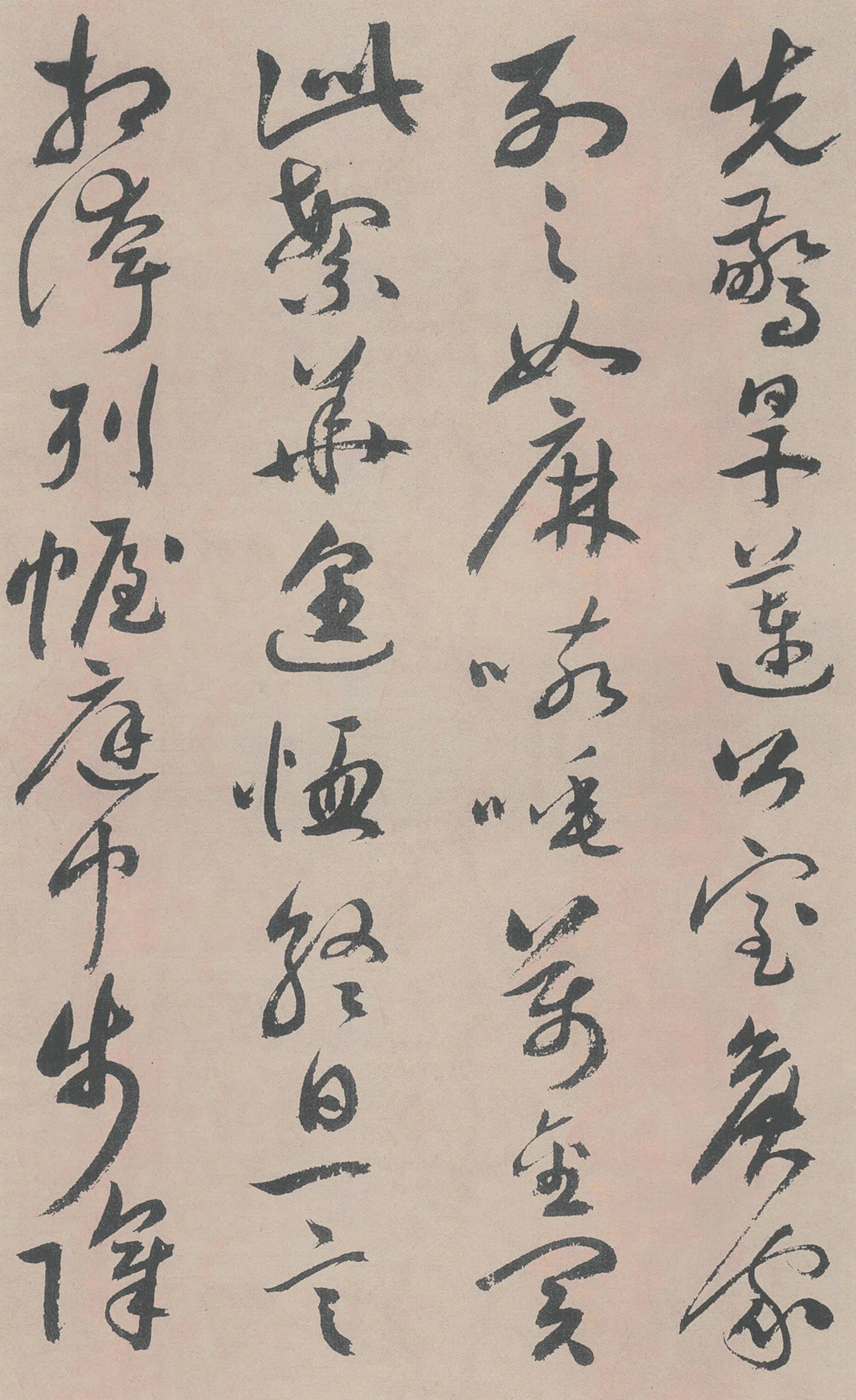 明朝【祝允明】《牡丹赋》 第14张