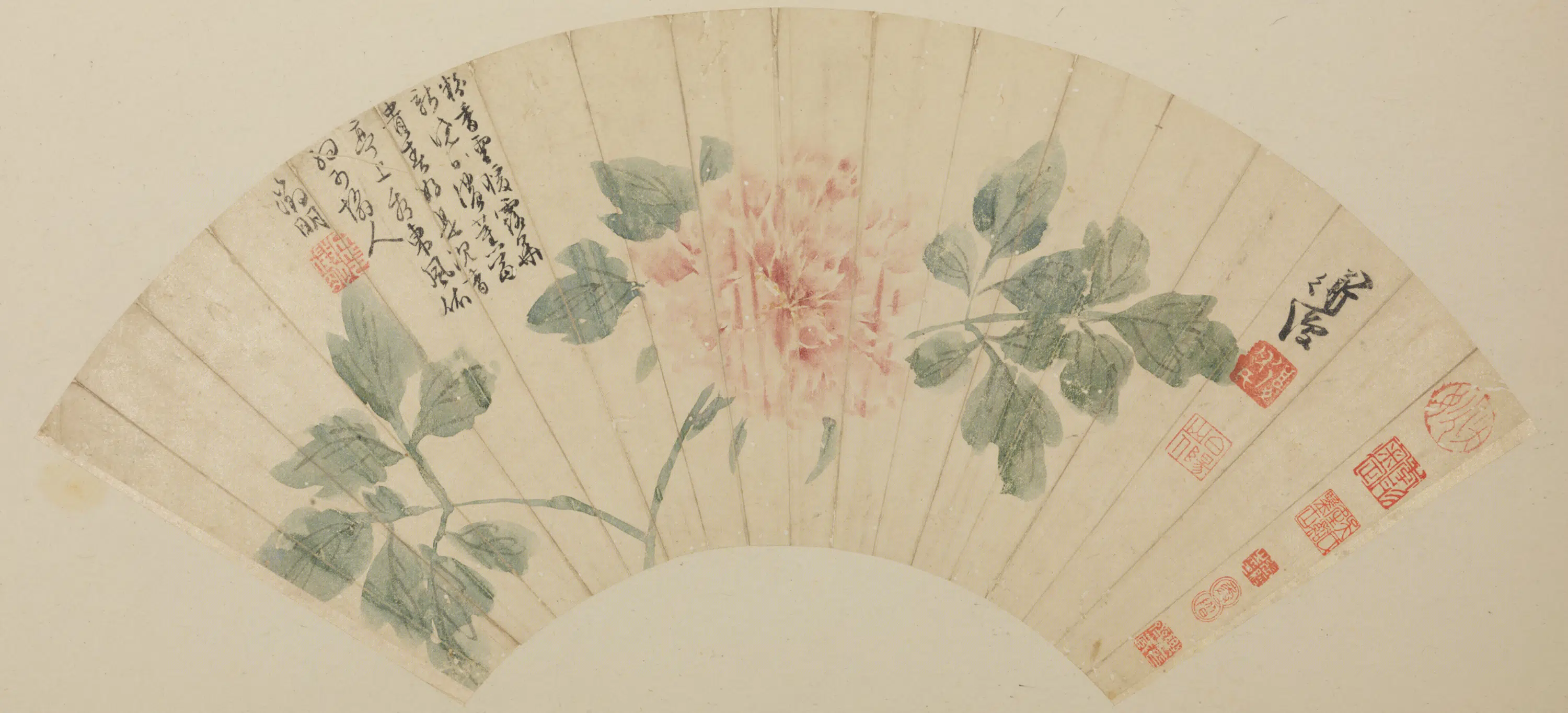 明朝【陈淳（道复）】《牡丹图扇》
