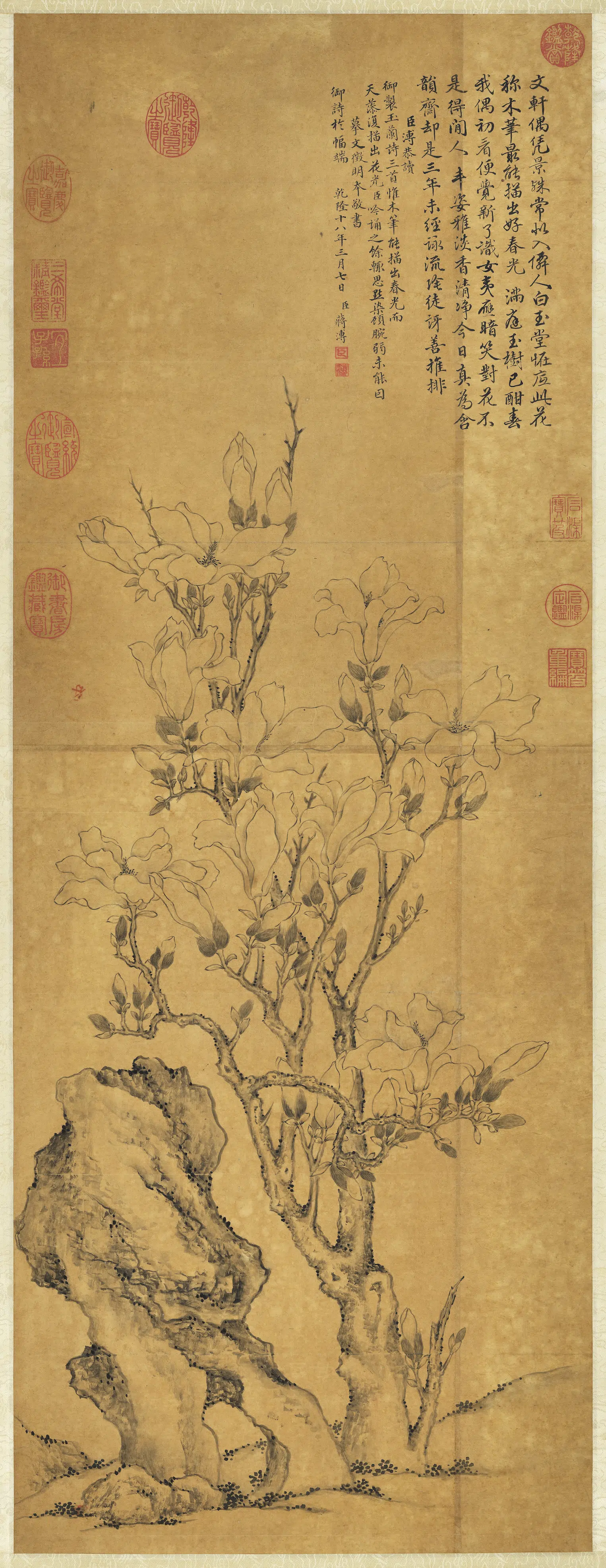 清代【蒋溥】《摹文徵明玉兰花图》