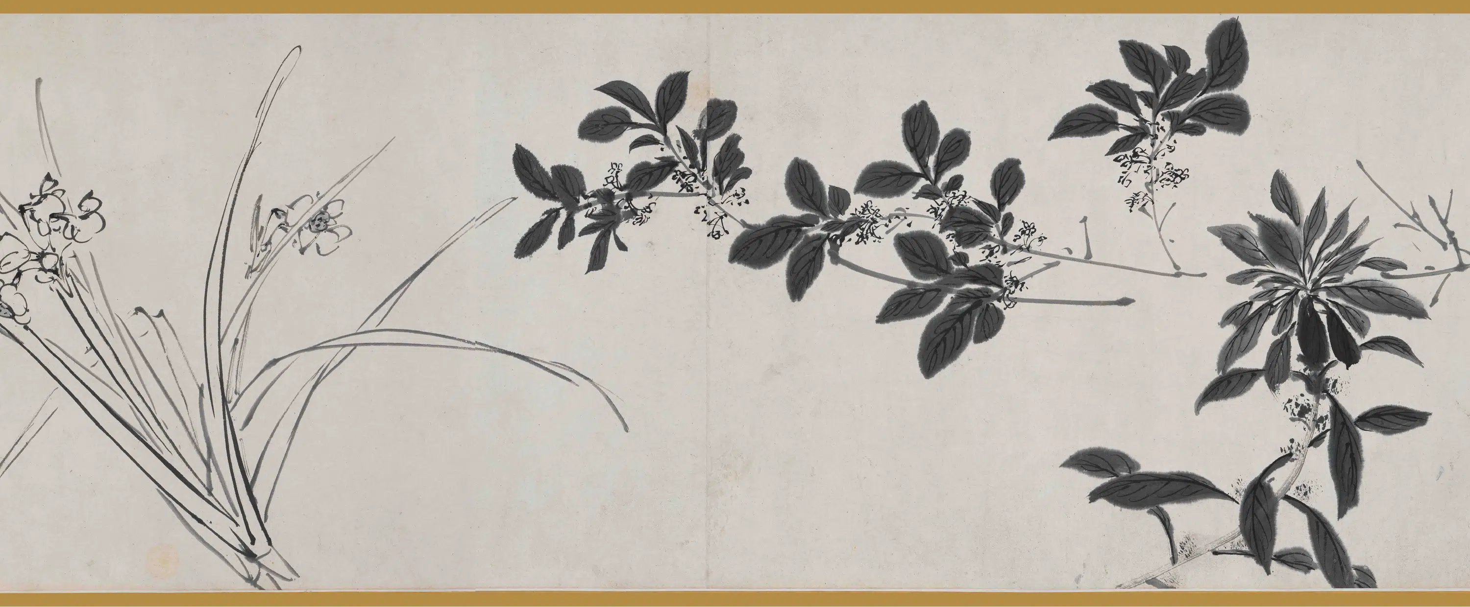 明朝【陈淳（道复）】《墨花图卷》 第2张