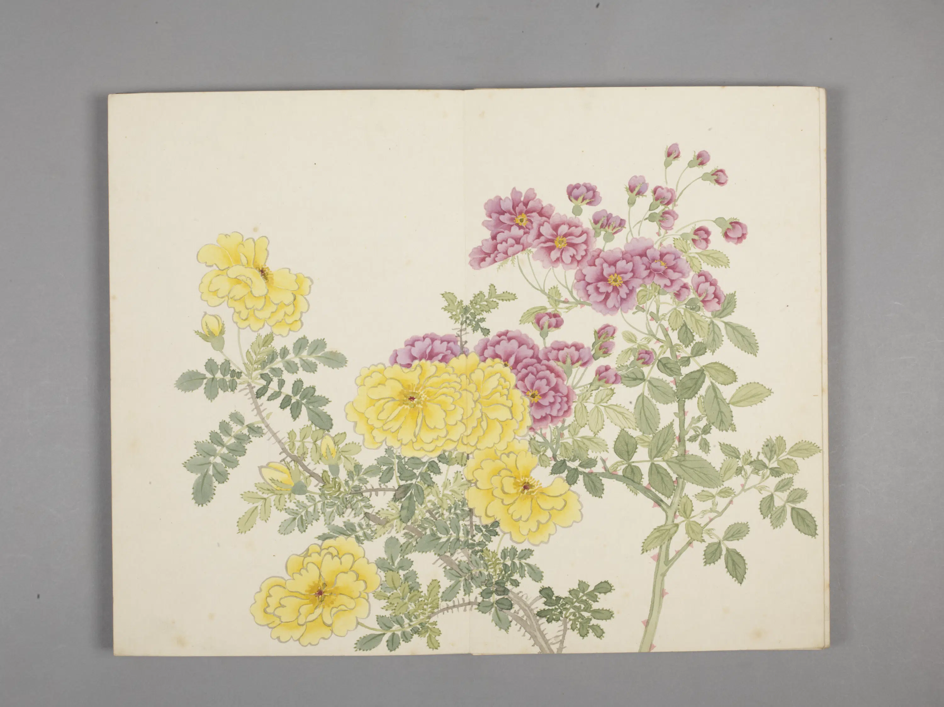 清代【董诰】《绚锦胪芳图册(10开)》 第6张 清代【董诰】《绚锦胪芳图册(10开)》 第6张