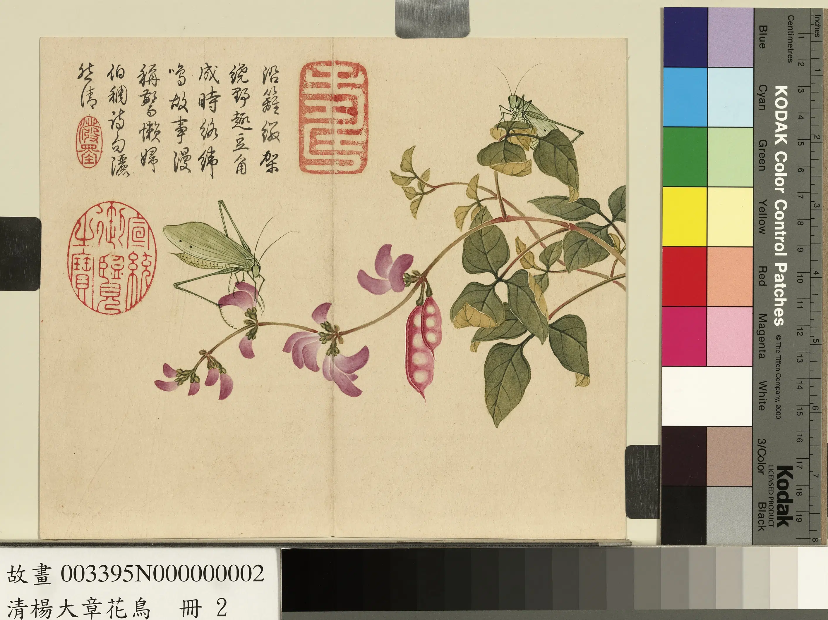 清代【杨大章】《花鸟册》 第11张 清代【杨大章】《花鸟册》 第11张