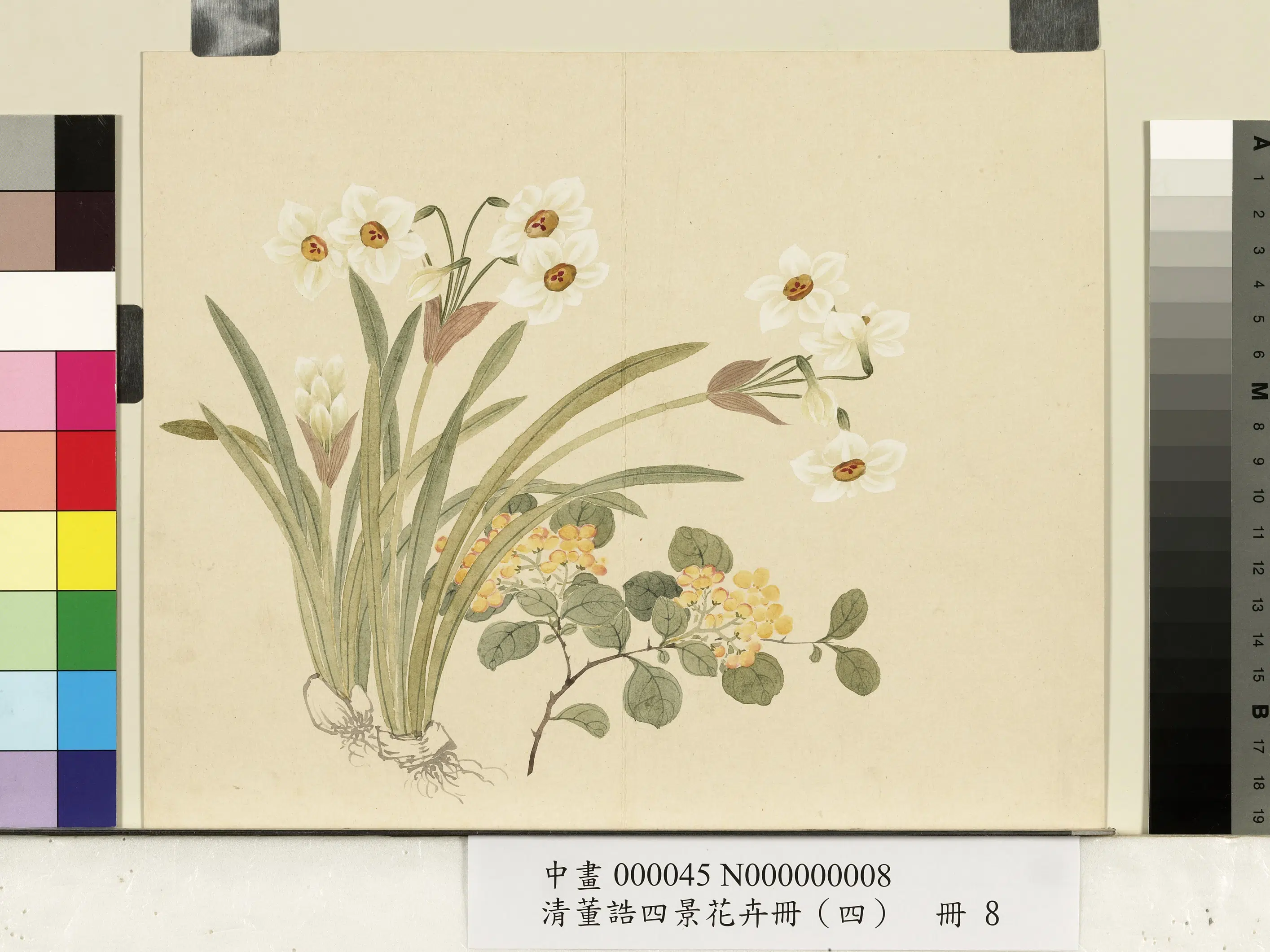 清代【董诰】《四景花卉(四)册》 第7张 清代【董诰】《四景花卉(四)册》 第7张