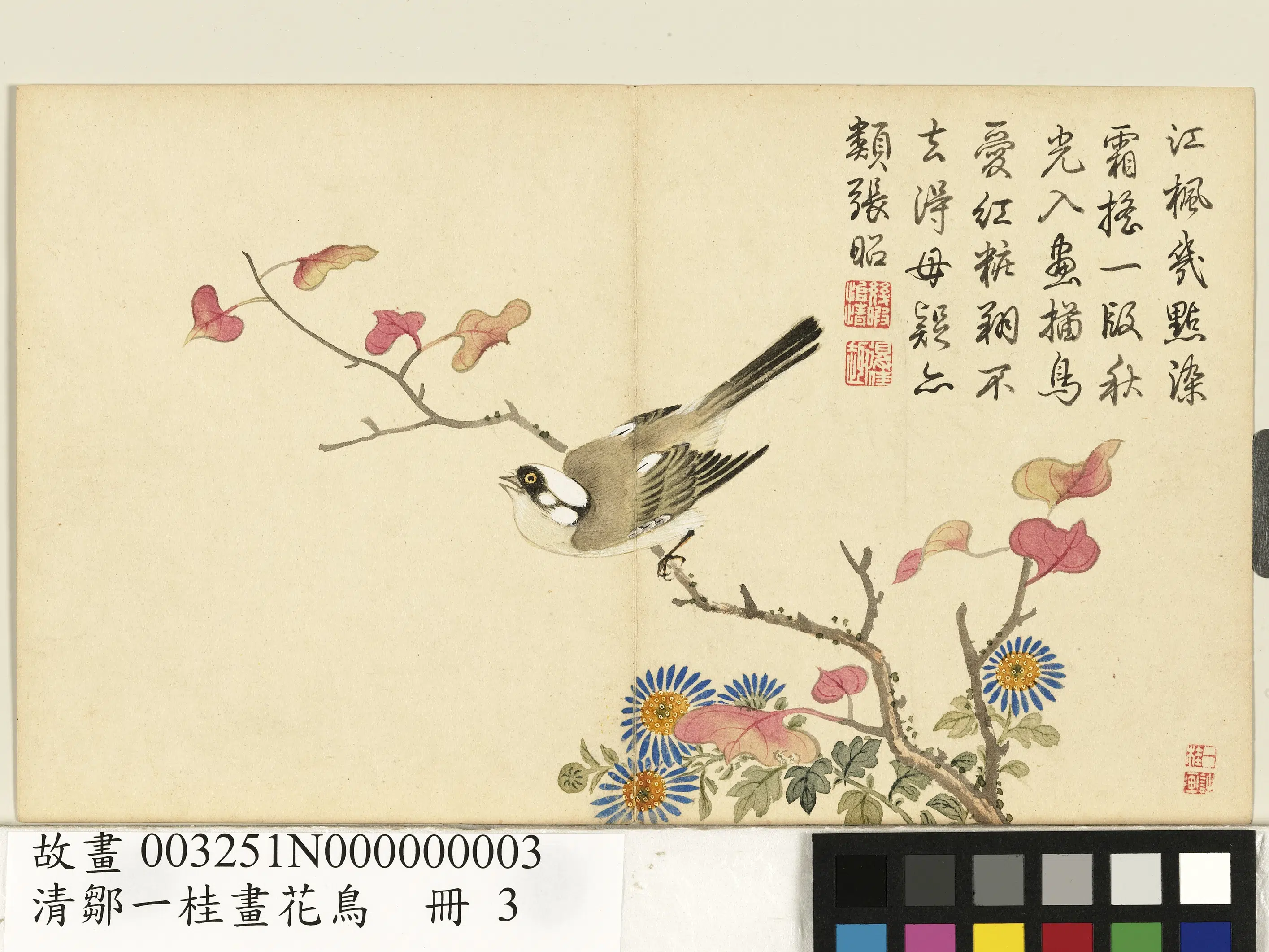 清代【邹一桂】《画花鸟册-枫树白头翁》 第1张