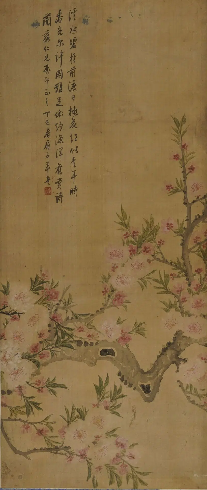 清代【车书（车眉子）】《设色花卉轴》