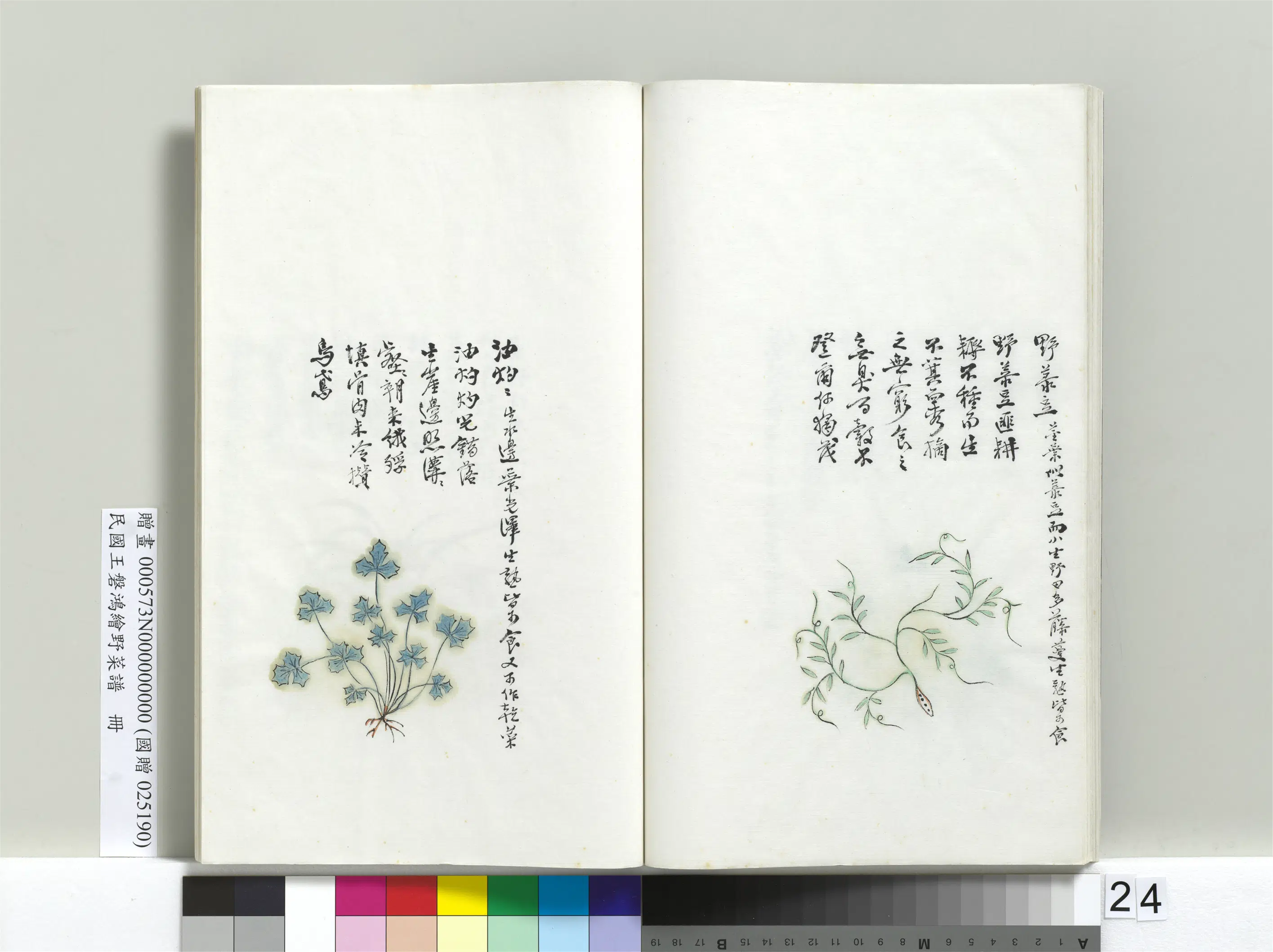 《绘王盘野菜谱册》 第17张 《绘王盘野菜谱册》 第17张