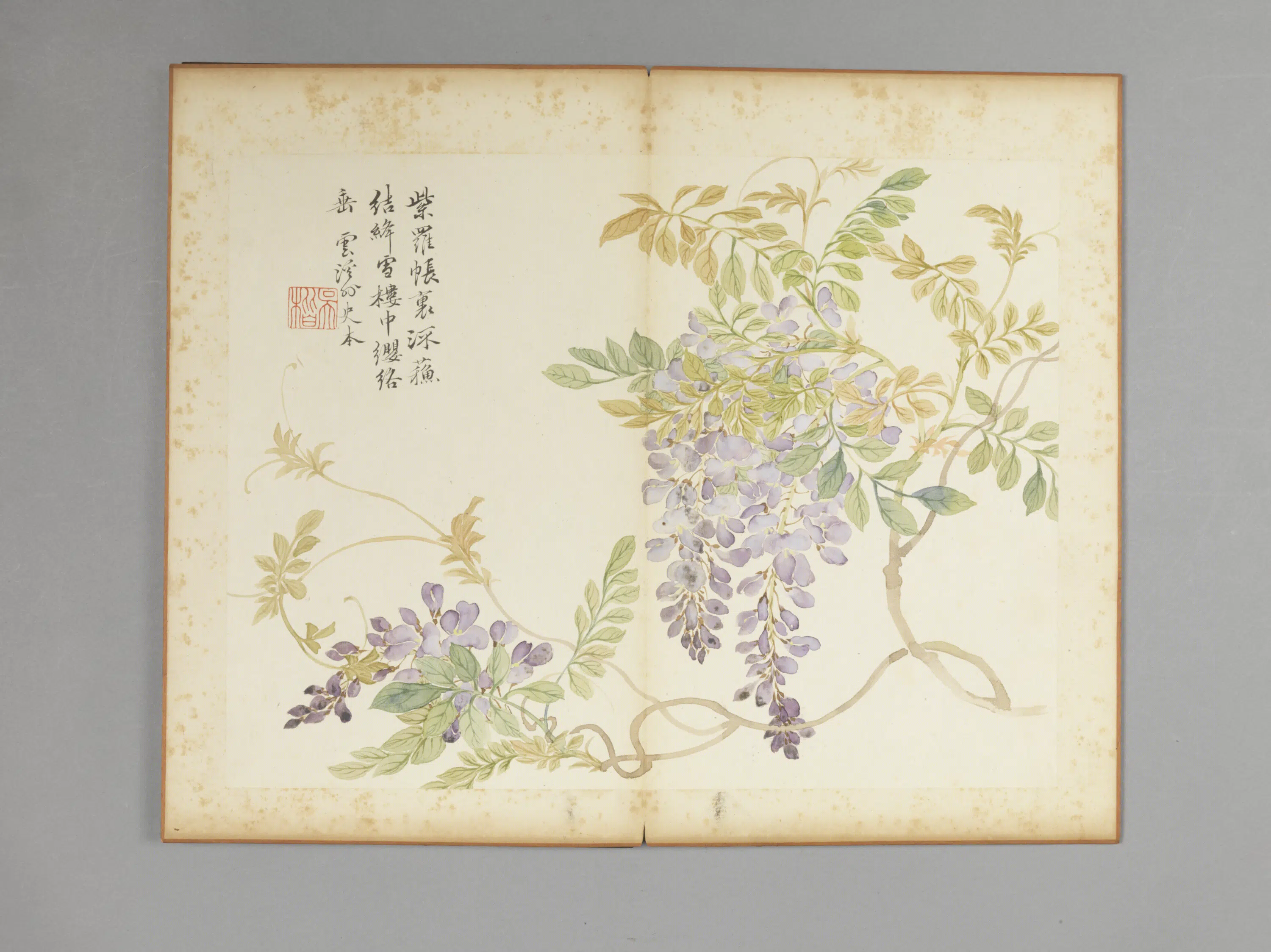 清代【吴楷】《花卉册》 第1张