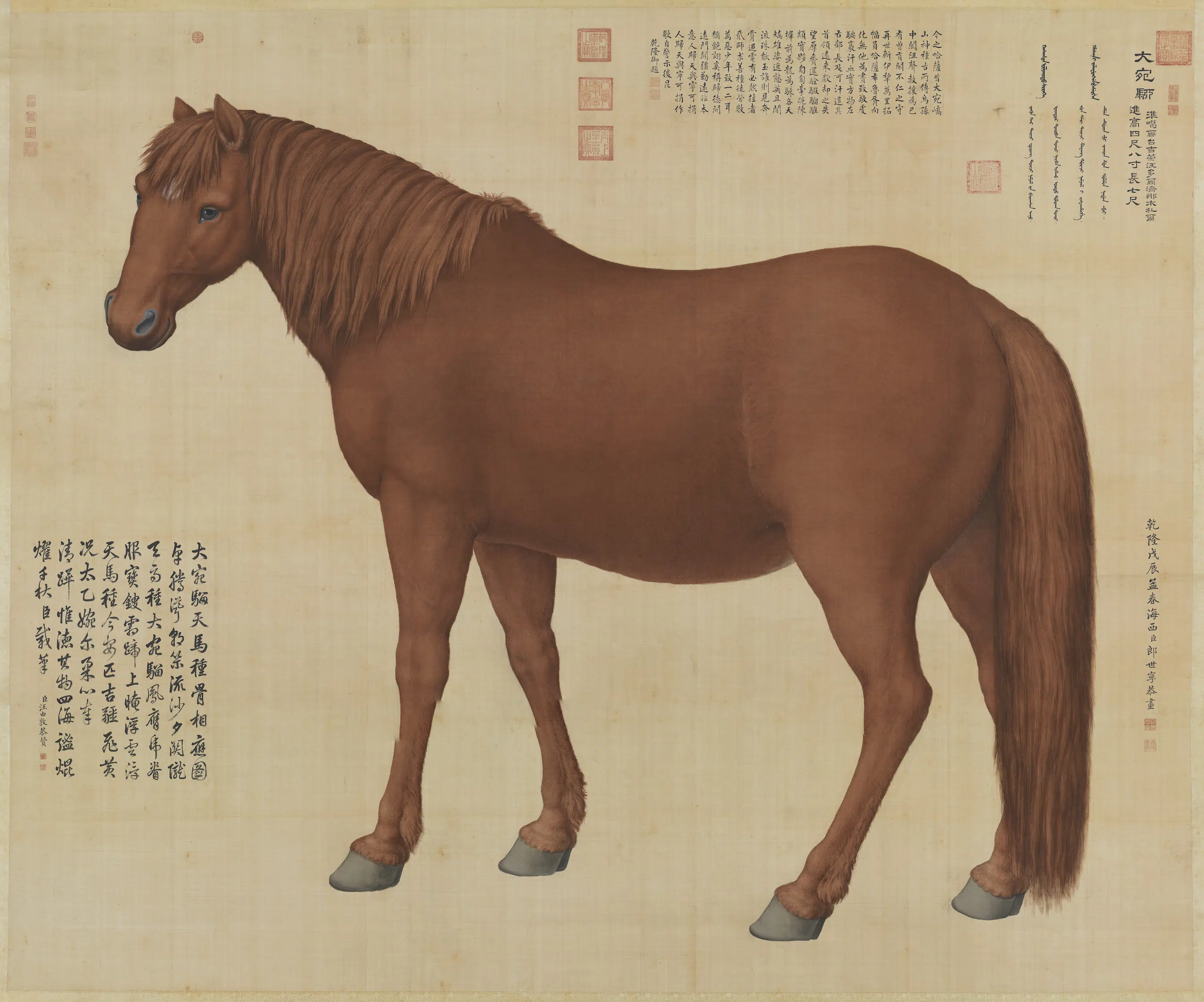 清代【郎世宁】《画十骏图大宛骝图轴》