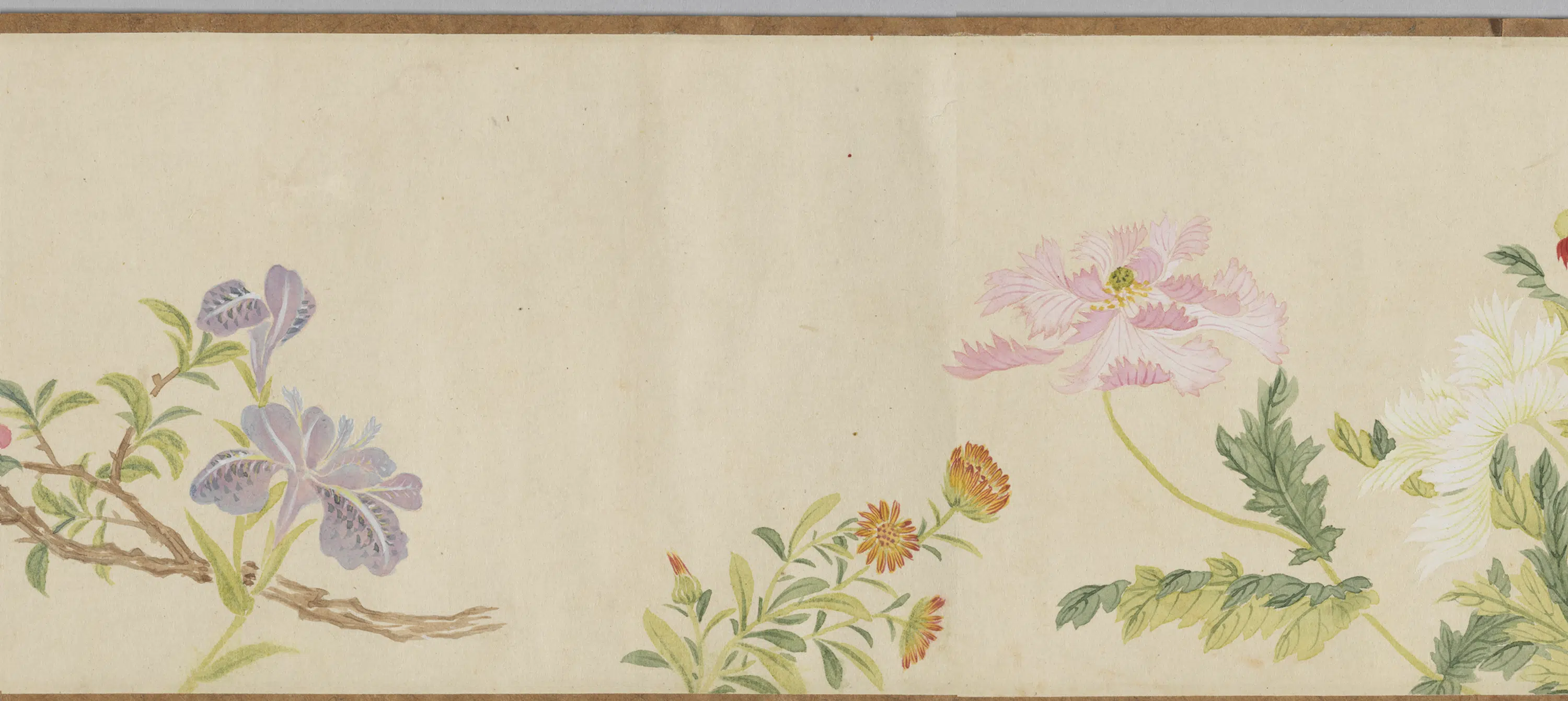 清代【李秉德】《画花卉图卷》 第5张