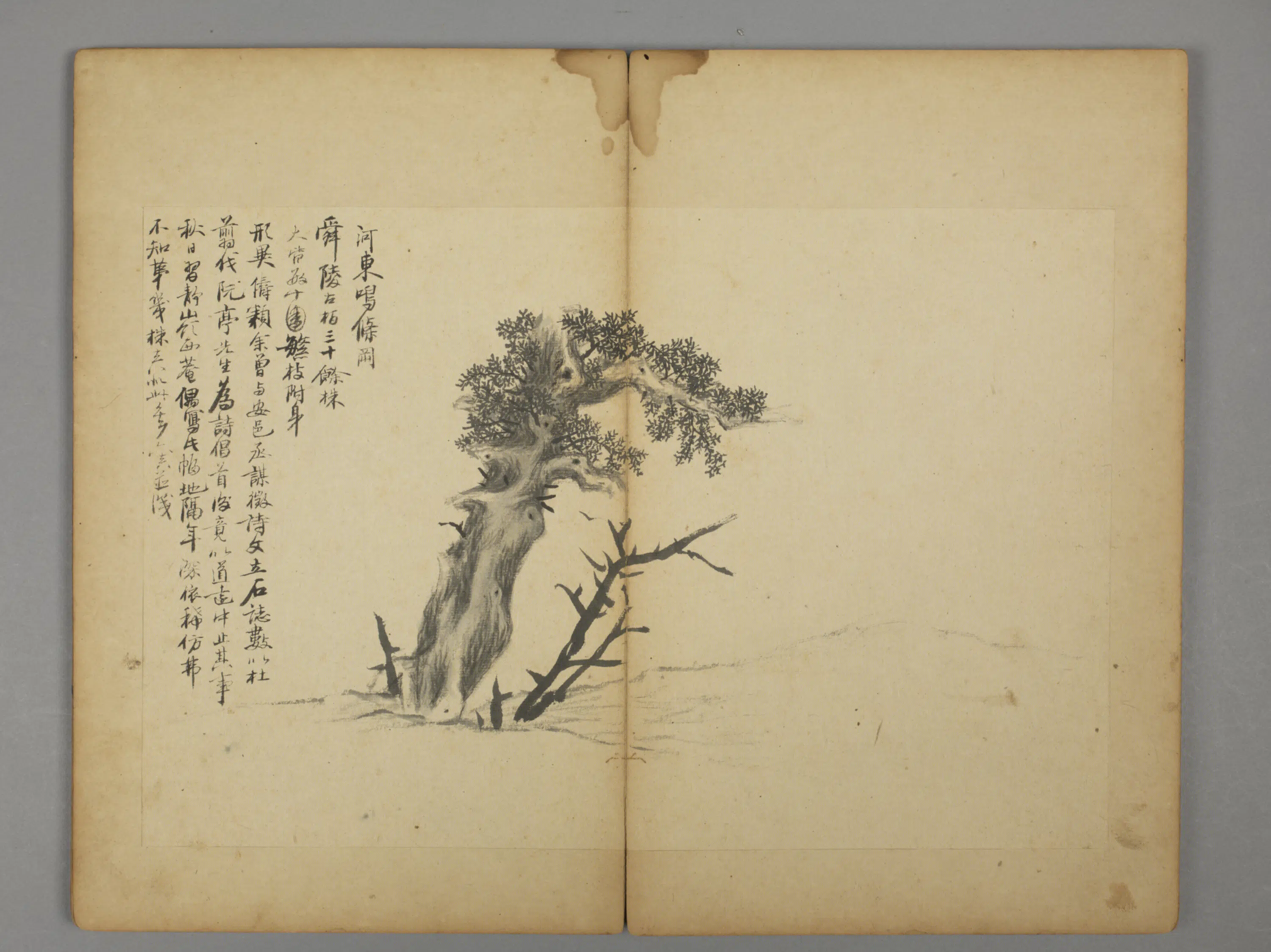清代【王六真】《杂画册》 第6张