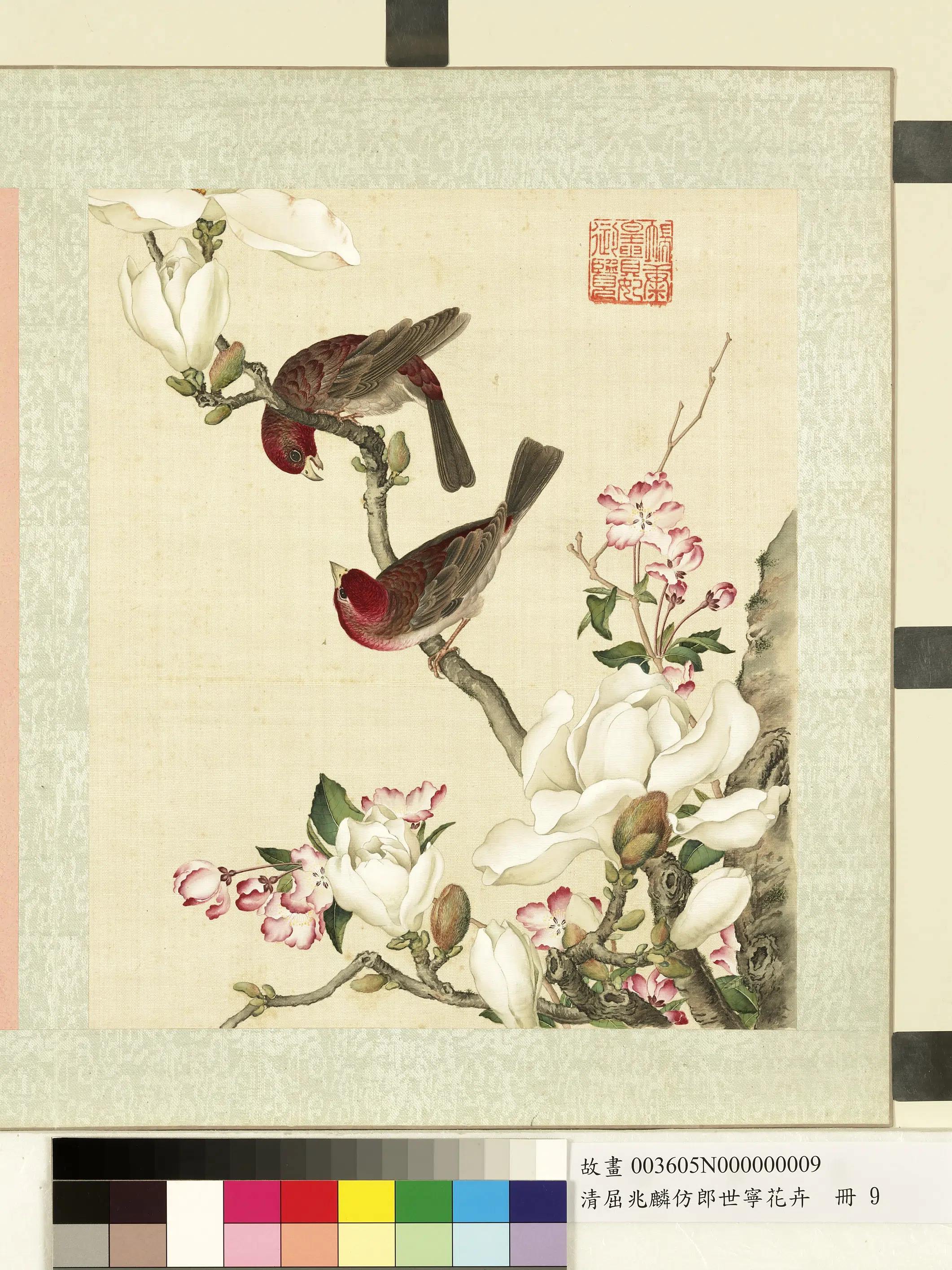 清代【屈兆麟】《仿郎世宁花卉册》 第13张 清代【屈兆麟】《仿郎世宁花卉册》 第13张