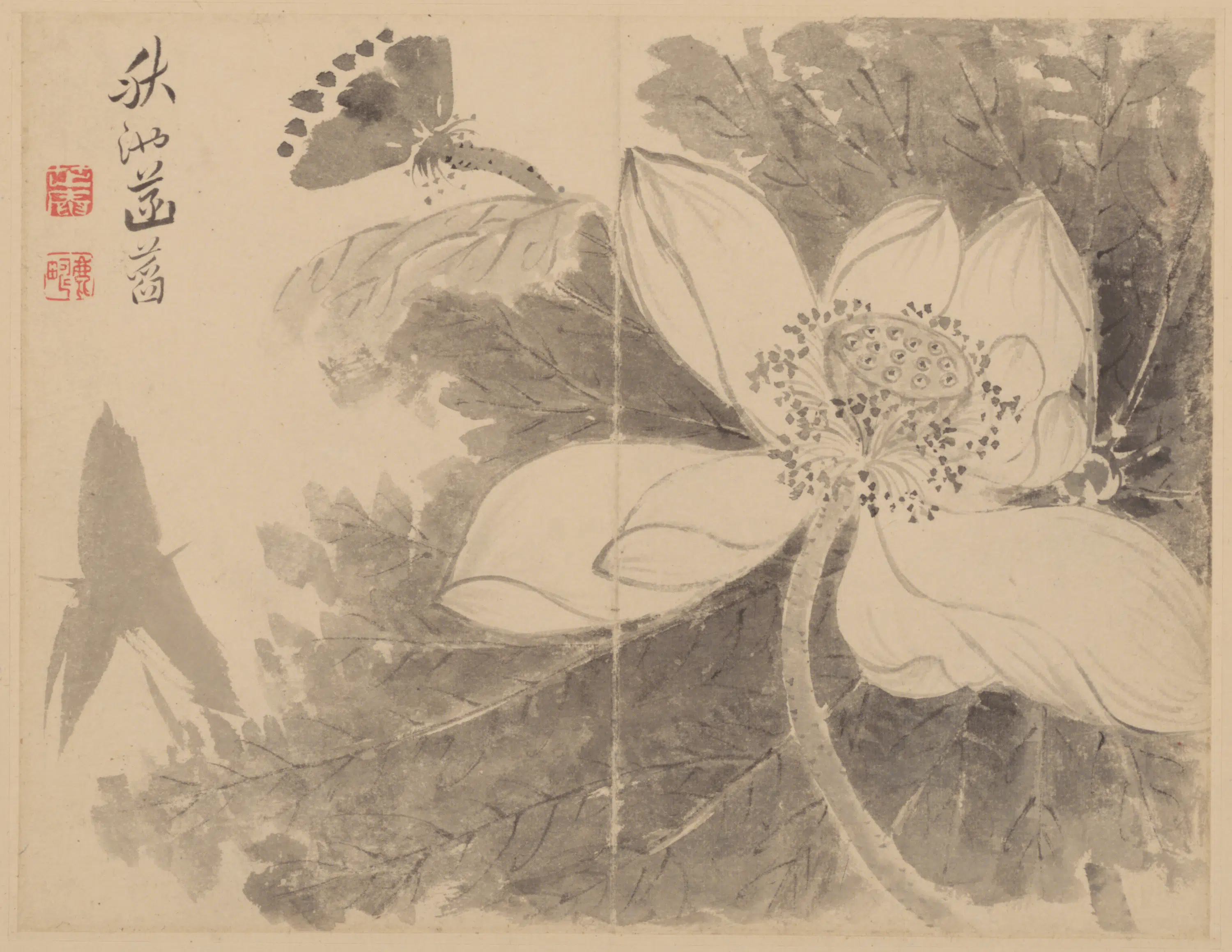 清代【范廷镇】《花卉册》 第10张 清代【范廷镇】《花卉册》 第10张