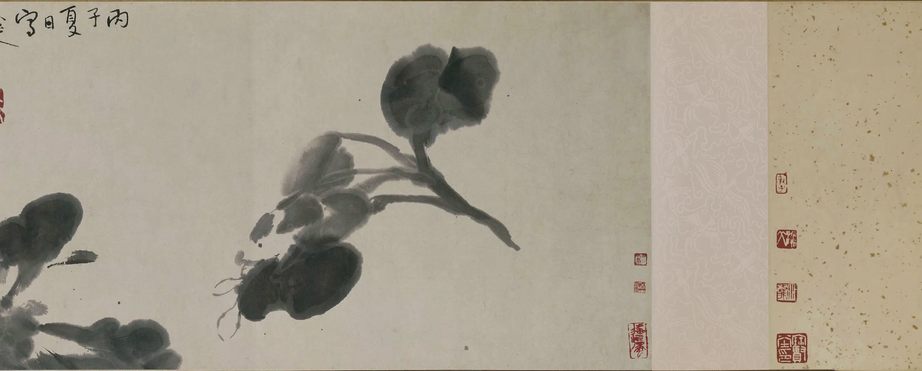 清代【朱耷】《猫石图卷-猫石花卉卷》 第3张 清代【朱耷】《猫石图卷-猫石花卉卷》 第3张