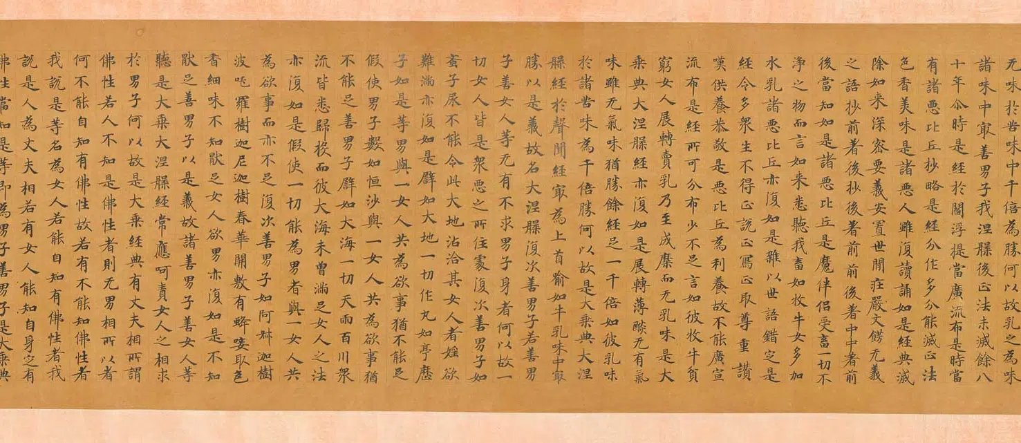 唐朝【佚名】《楷书大般涅槃经第九卷》 第5张 唐朝【佚名】《楷书大般涅槃经第九卷》 第5张