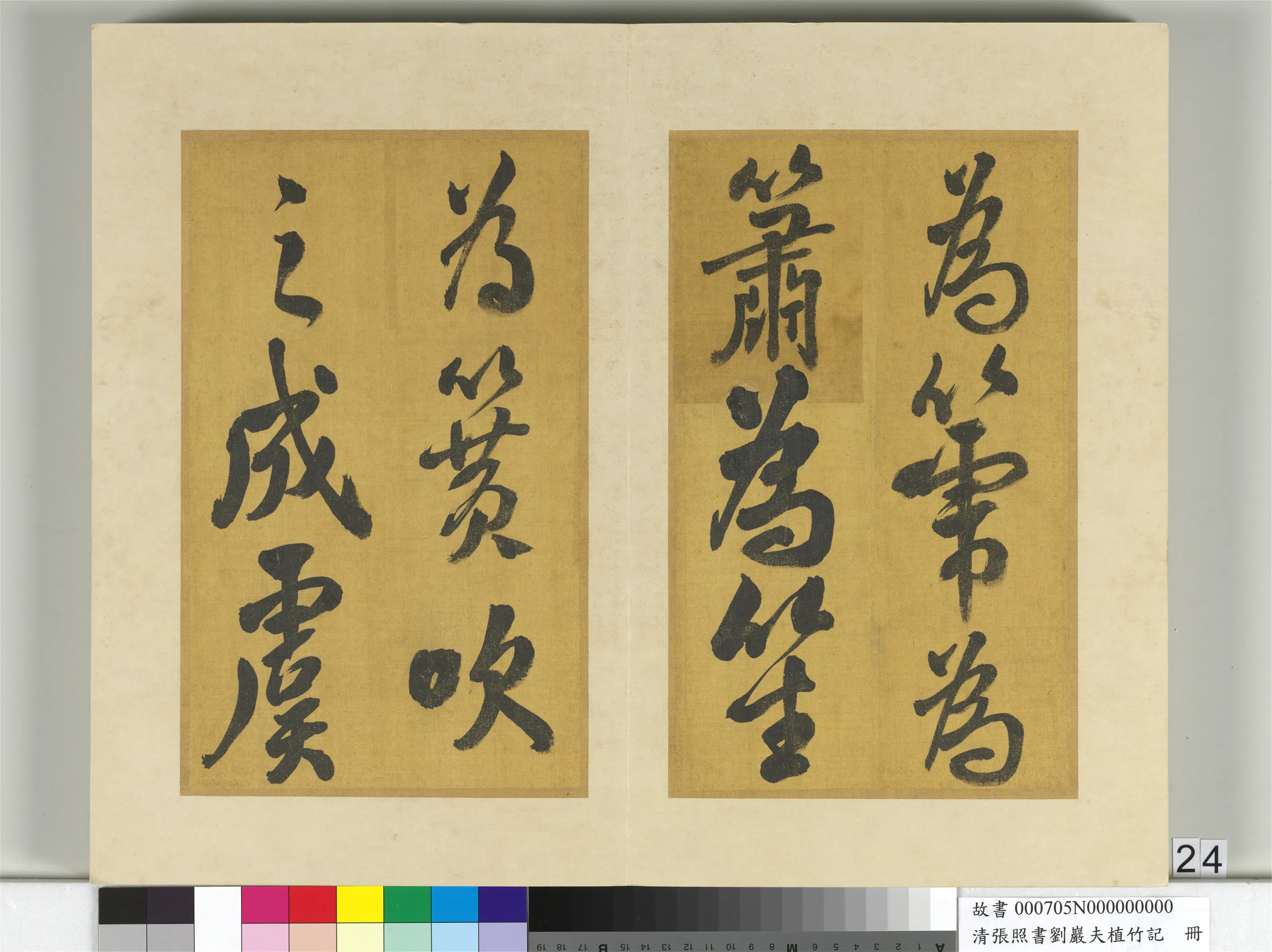 清代【张照】《书刘岩夫植竹记册》 第17张