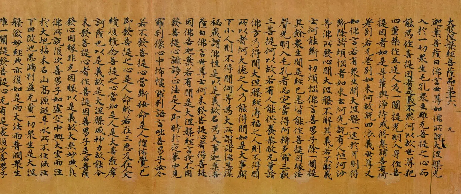 唐朝【佚名】《大般涅槃经菩萨品卷》 第5张 唐朝【佚名】《大般涅槃经菩萨品卷》 第5张
