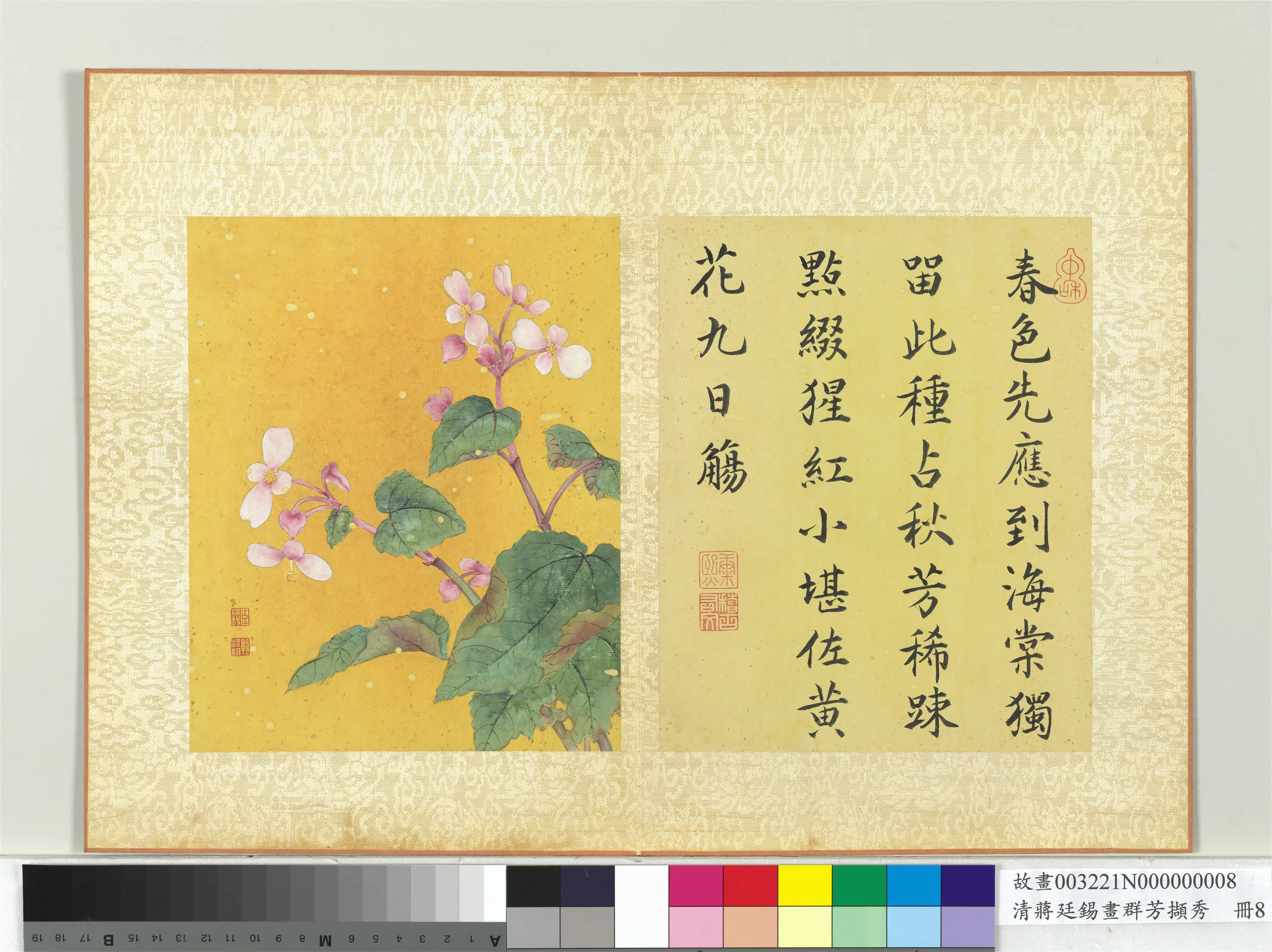 清代【蒋廷锡】《画群芳撷秀册-秋海棠》