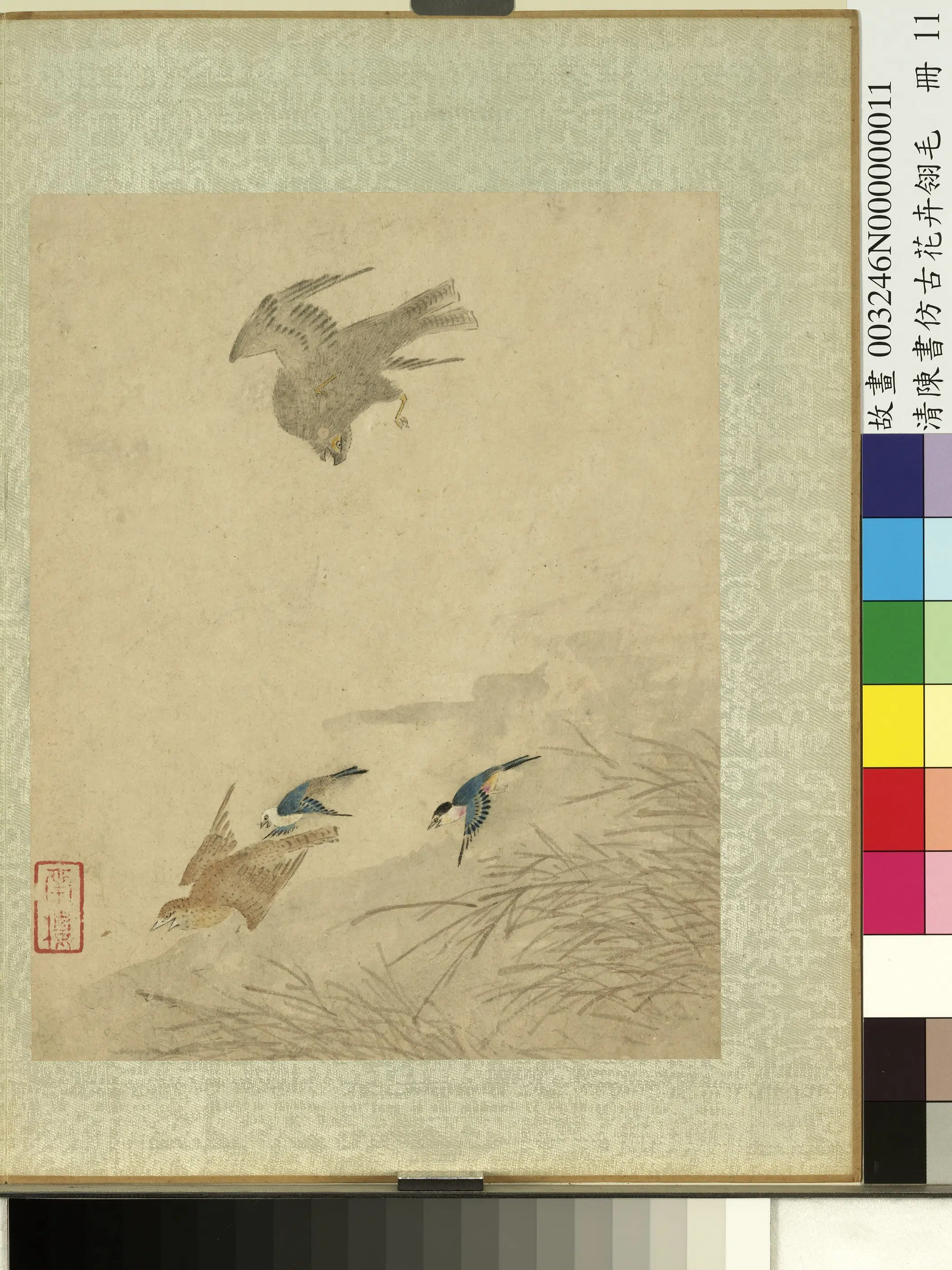 清代【陈书】《仿古花卉翎毛册-芦苇翔鹰》