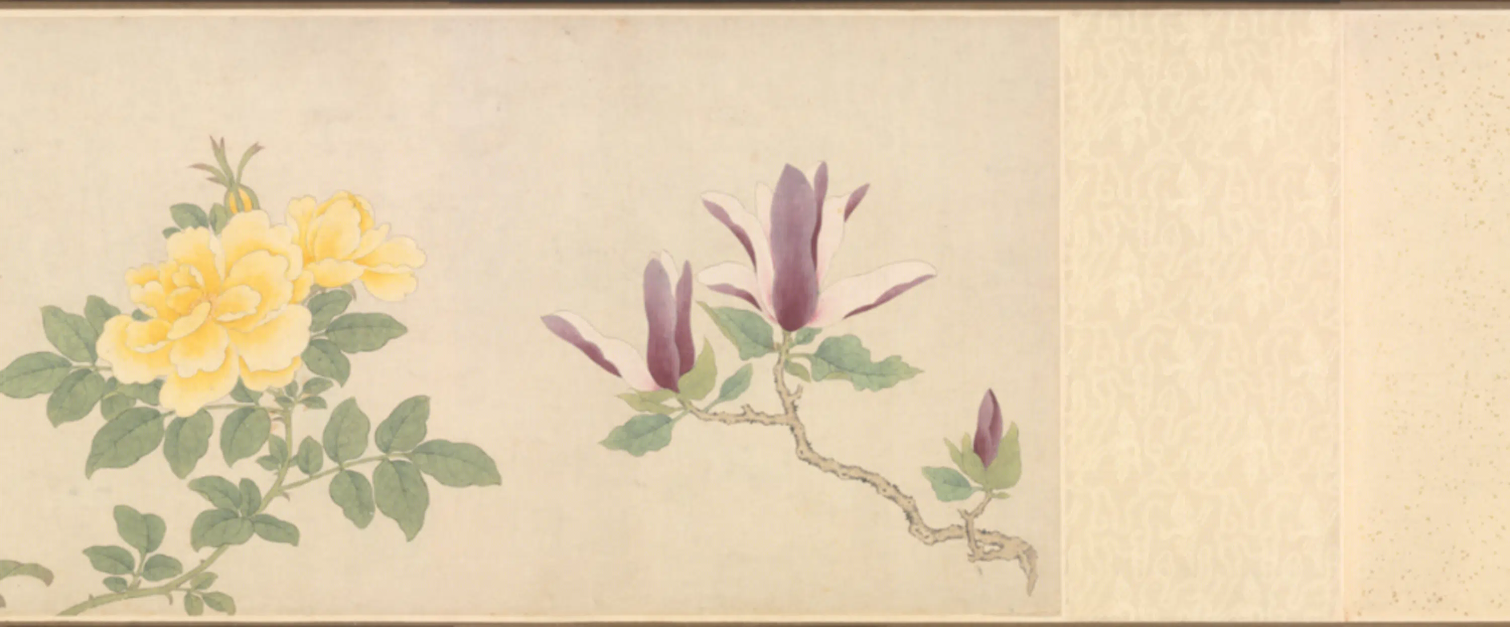 清代【朱昶】《花卉图卷》 第6张