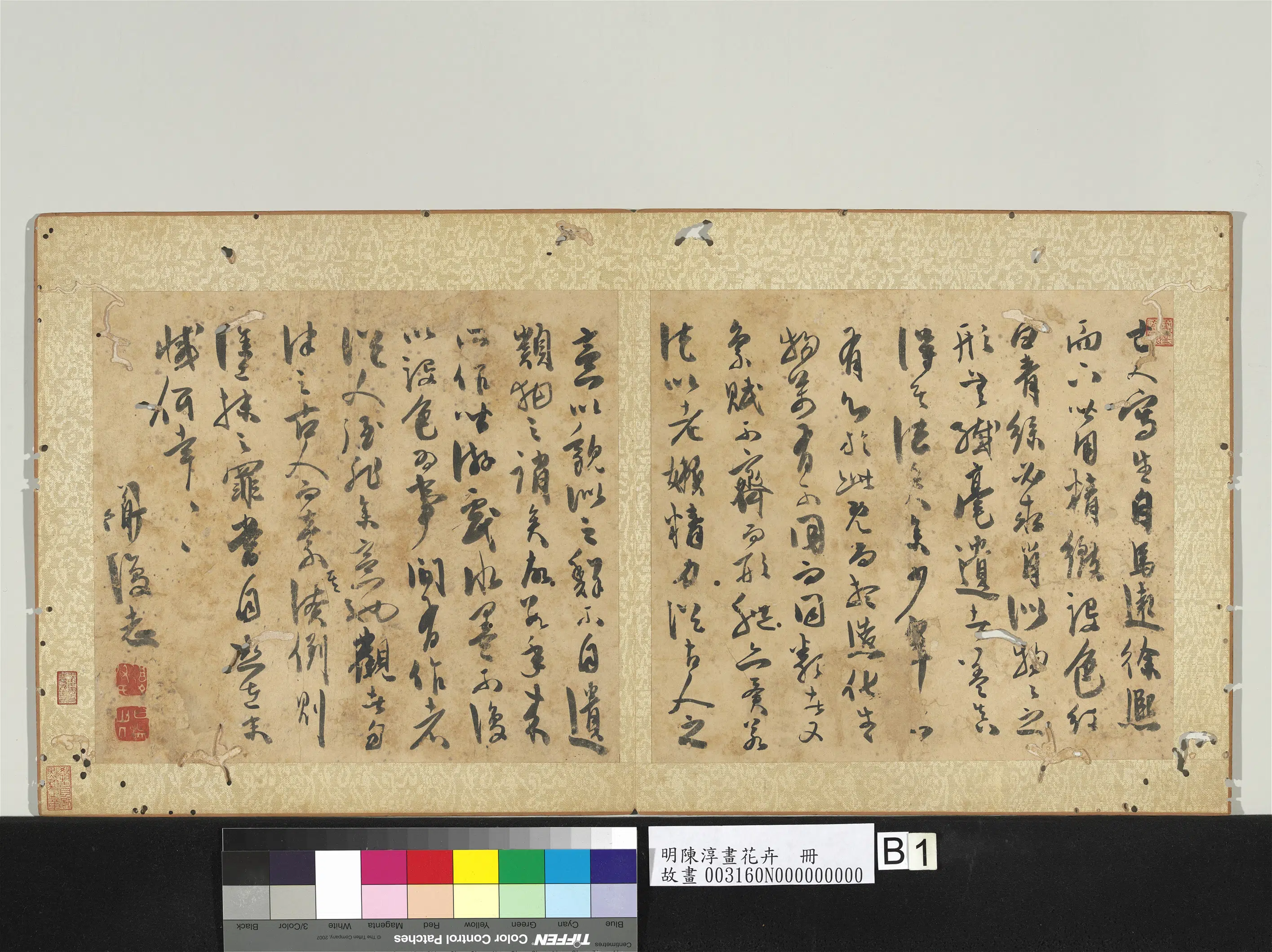 明朝【陈淳（道复）】《画花卉册》 第2张