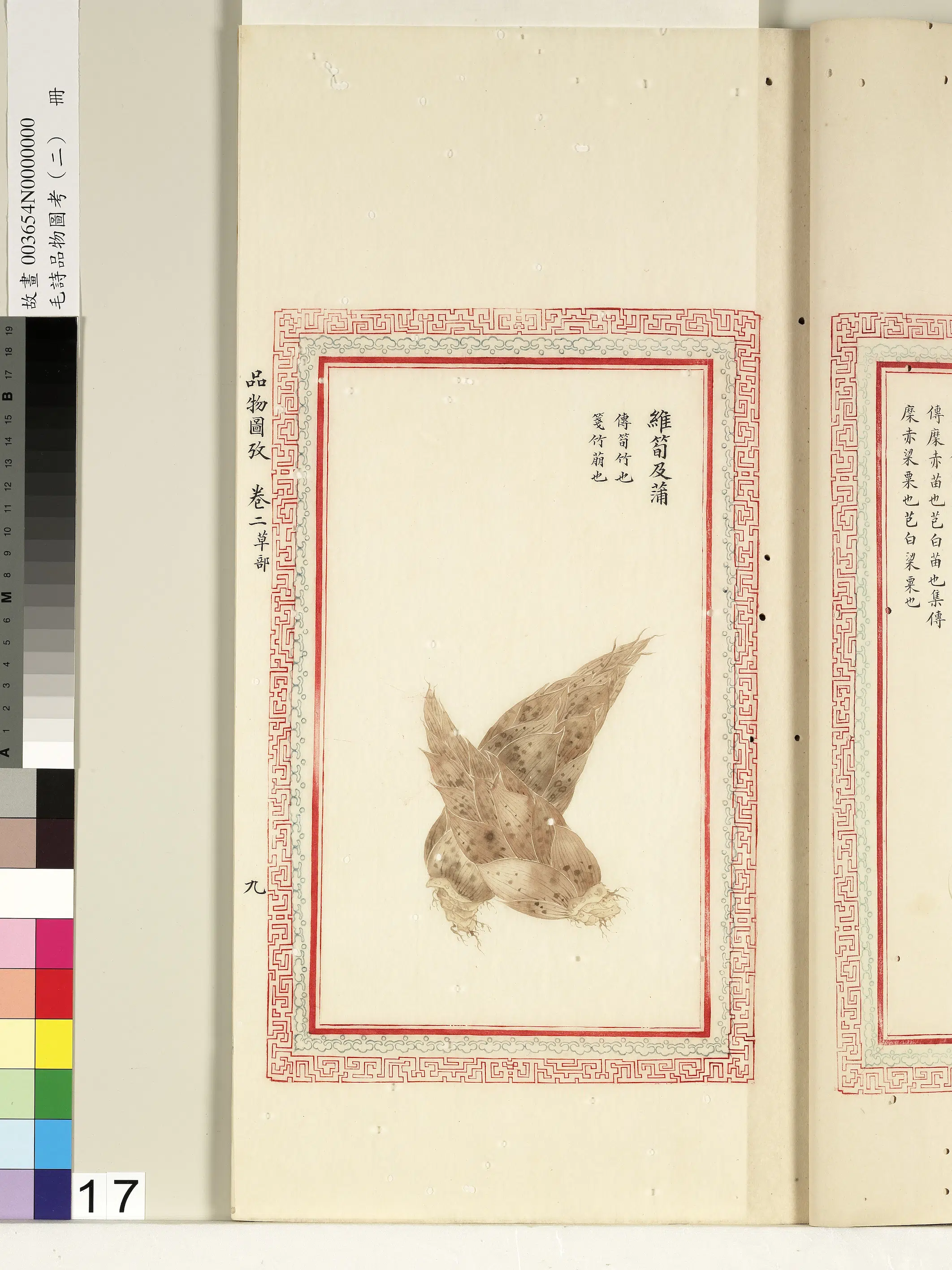 清代《毛诗品物图考(二)册-1》 第41张 清代《毛诗品物图考(二)册-1》 第41张