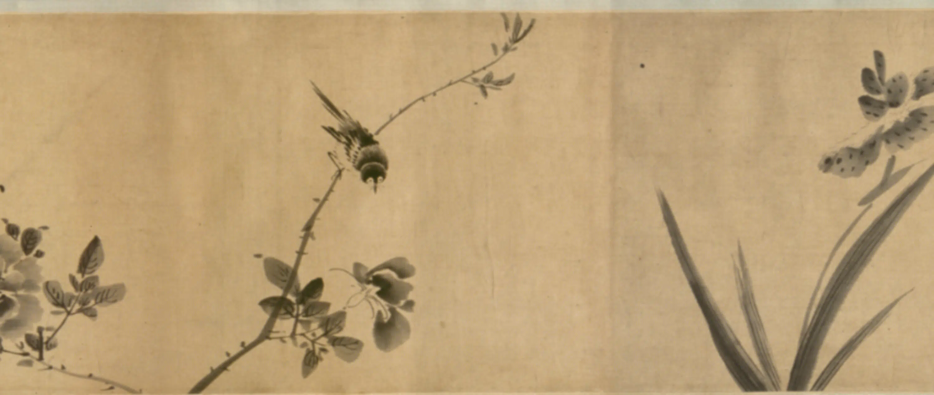 明朝【李因】《花鸟图卷》 第10张