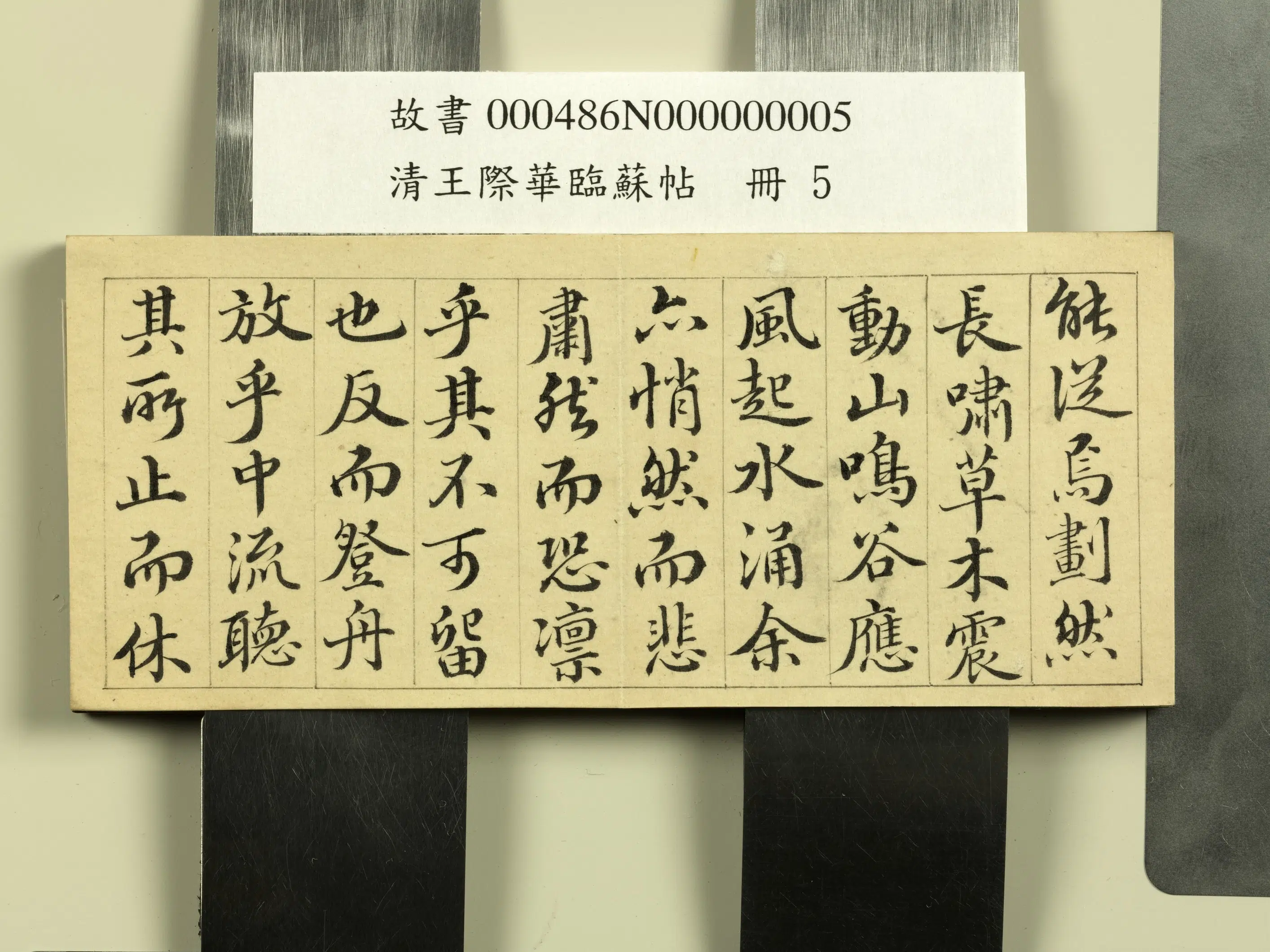 清代【王际华】《临苏帖册》 第5张