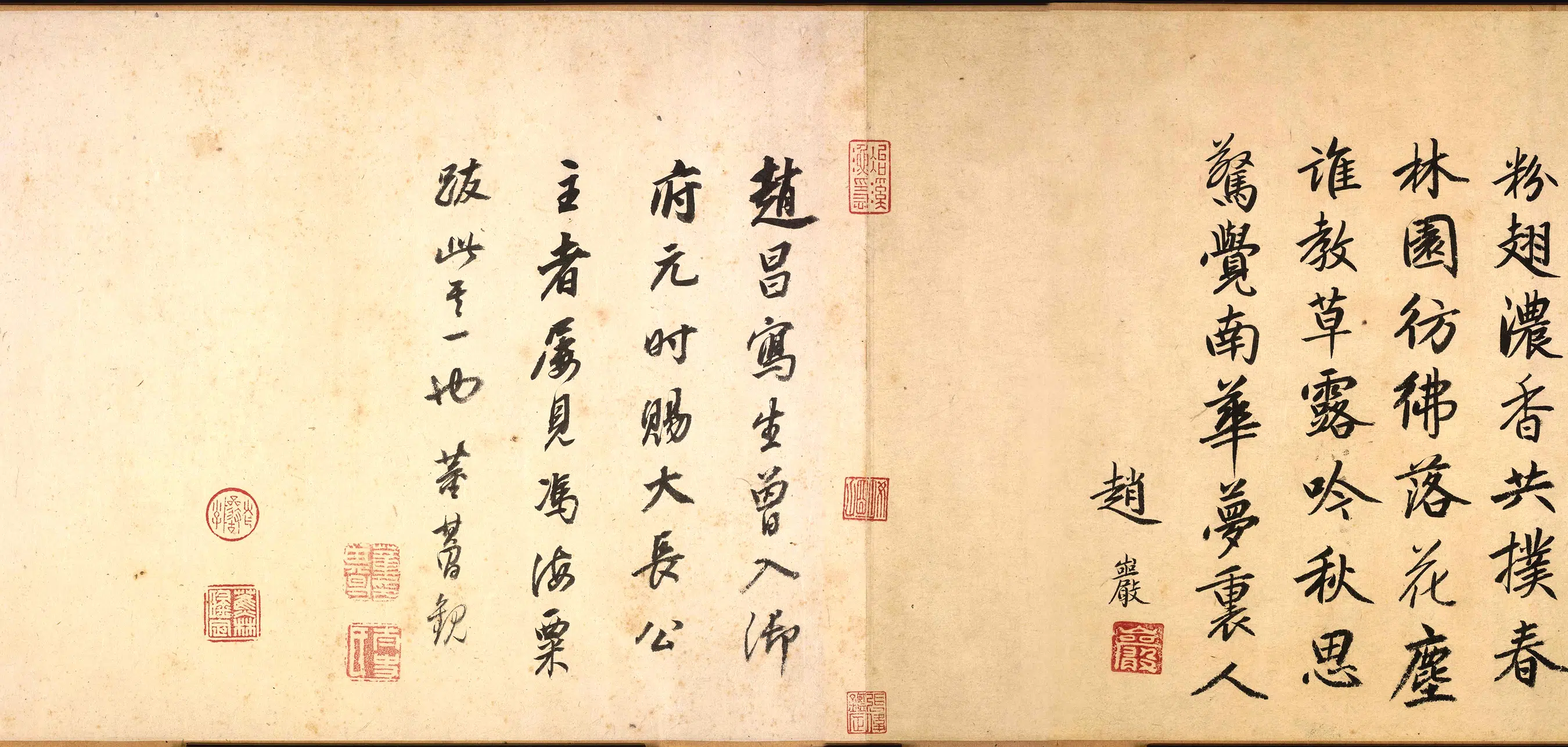 明朝【赵昌】《写生蛱蝶图卷》