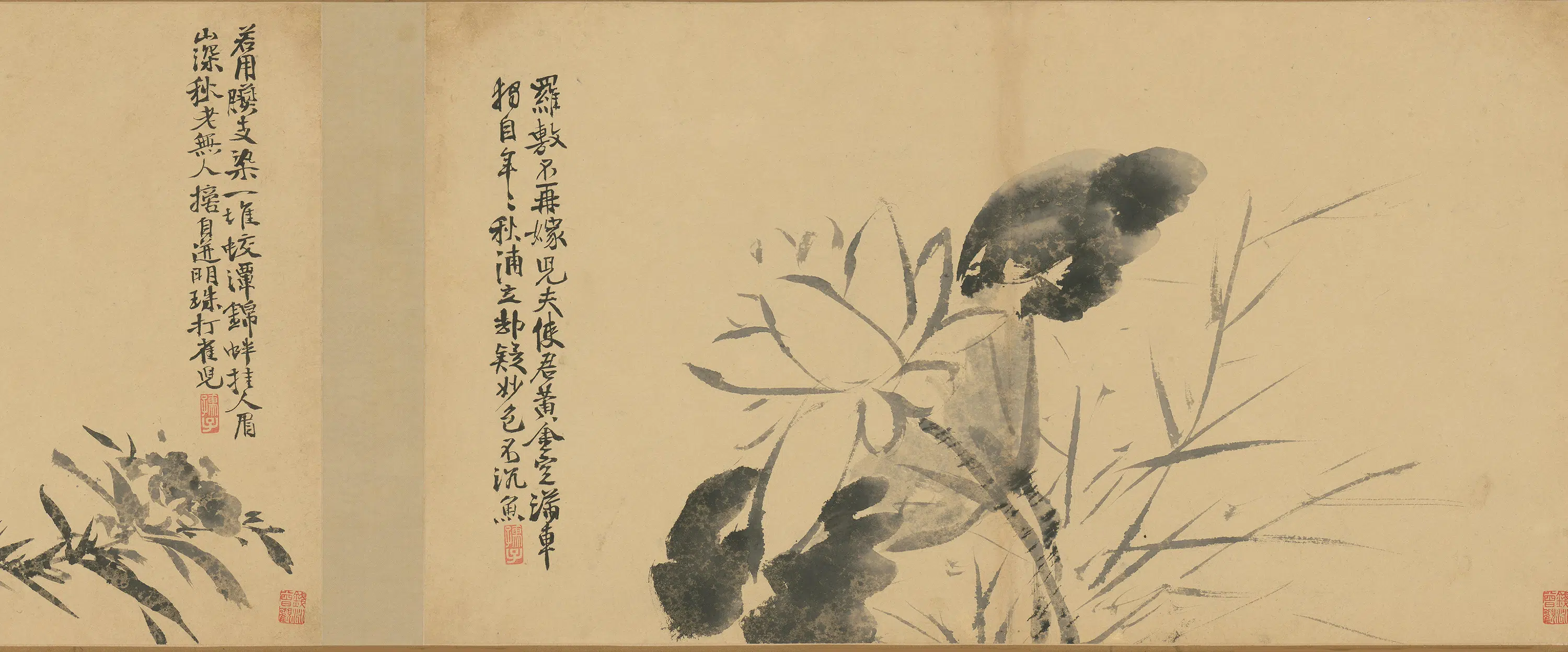 明朝【徐渭】《墨花卷》 第4张