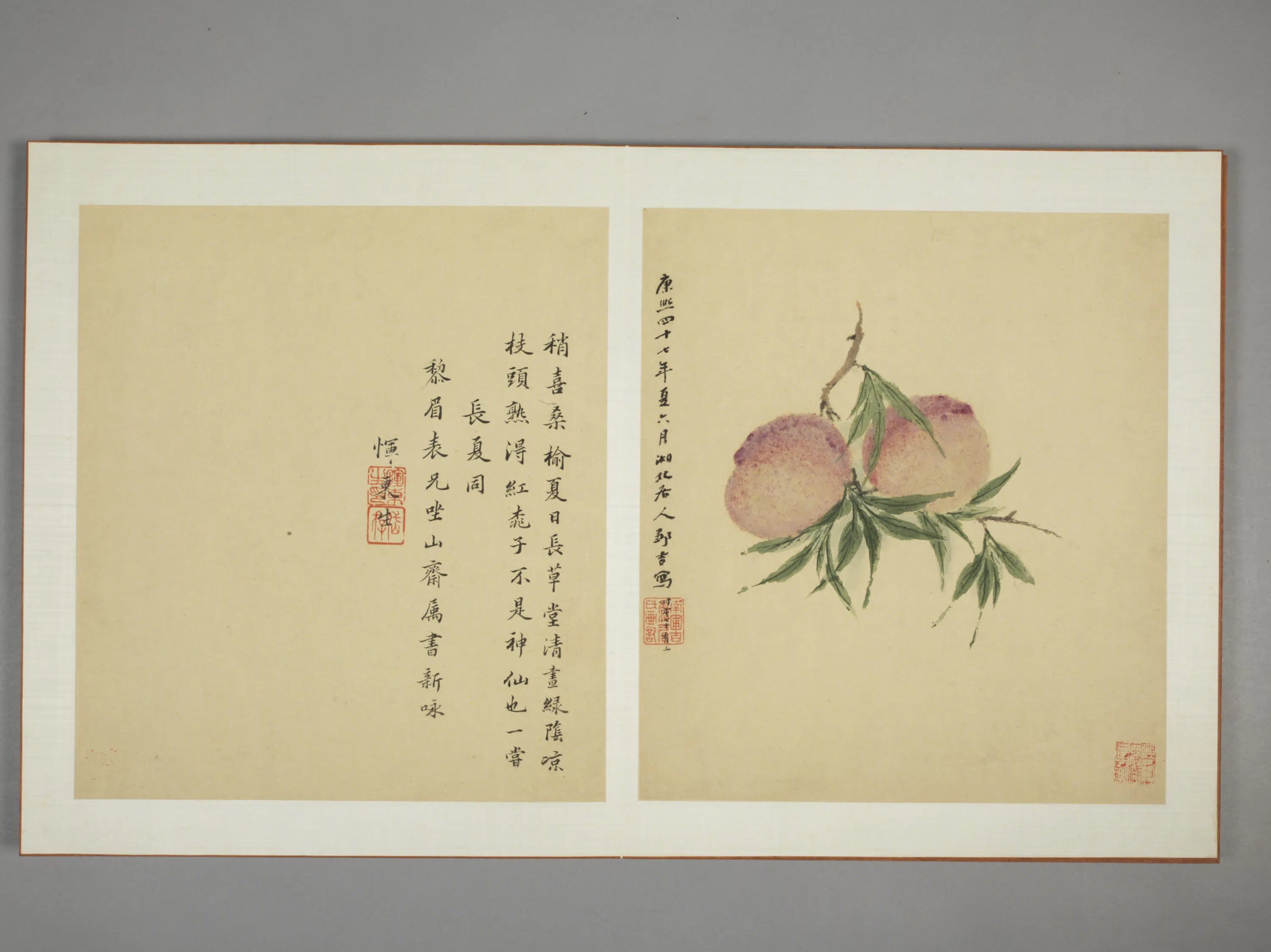 清代【邹显吉】《花卉图册》 第3张