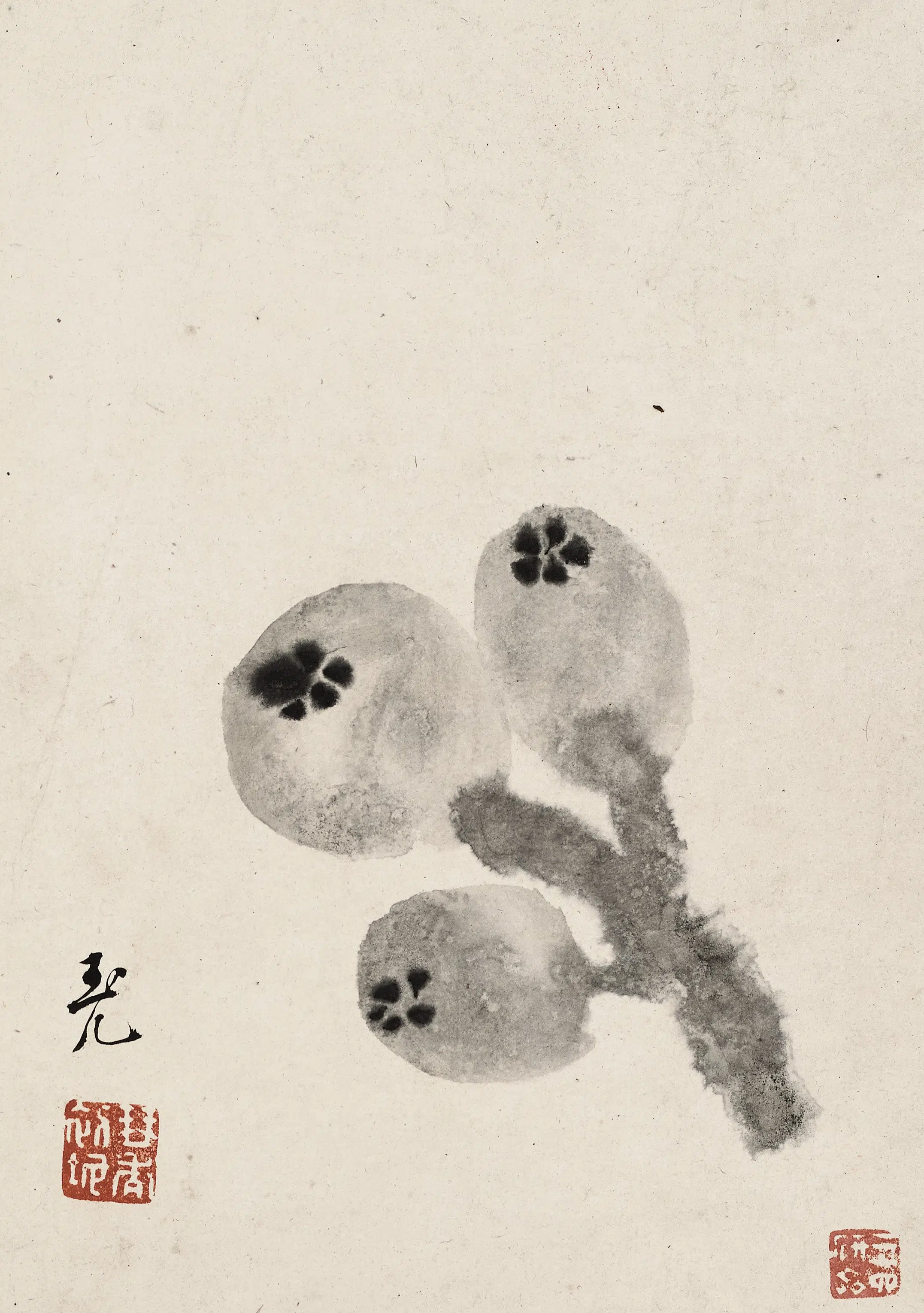 清代【陈撰】《果品花卉图册》