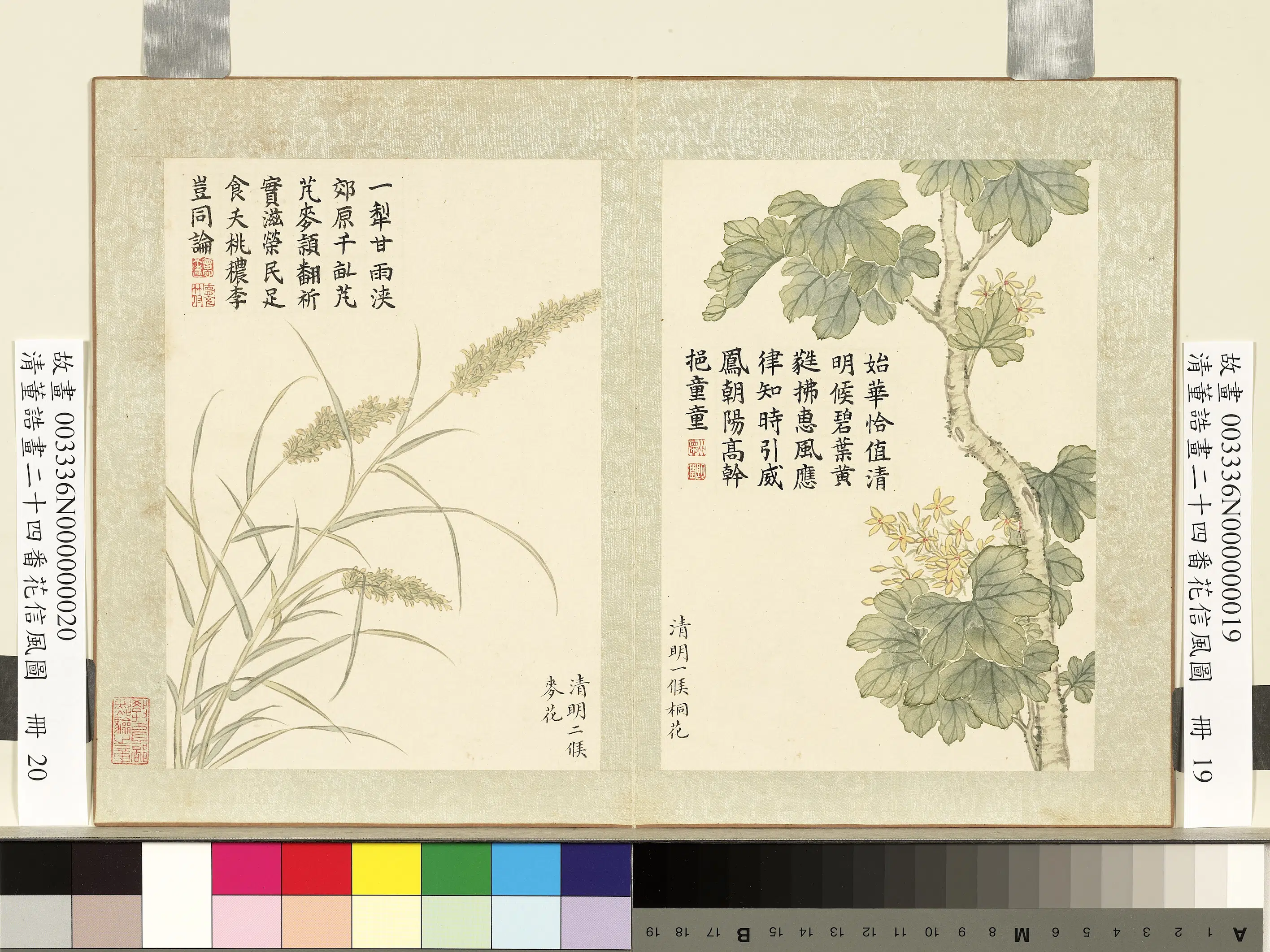 清代【董诰】《二十四番花信风图-12开》 第7张