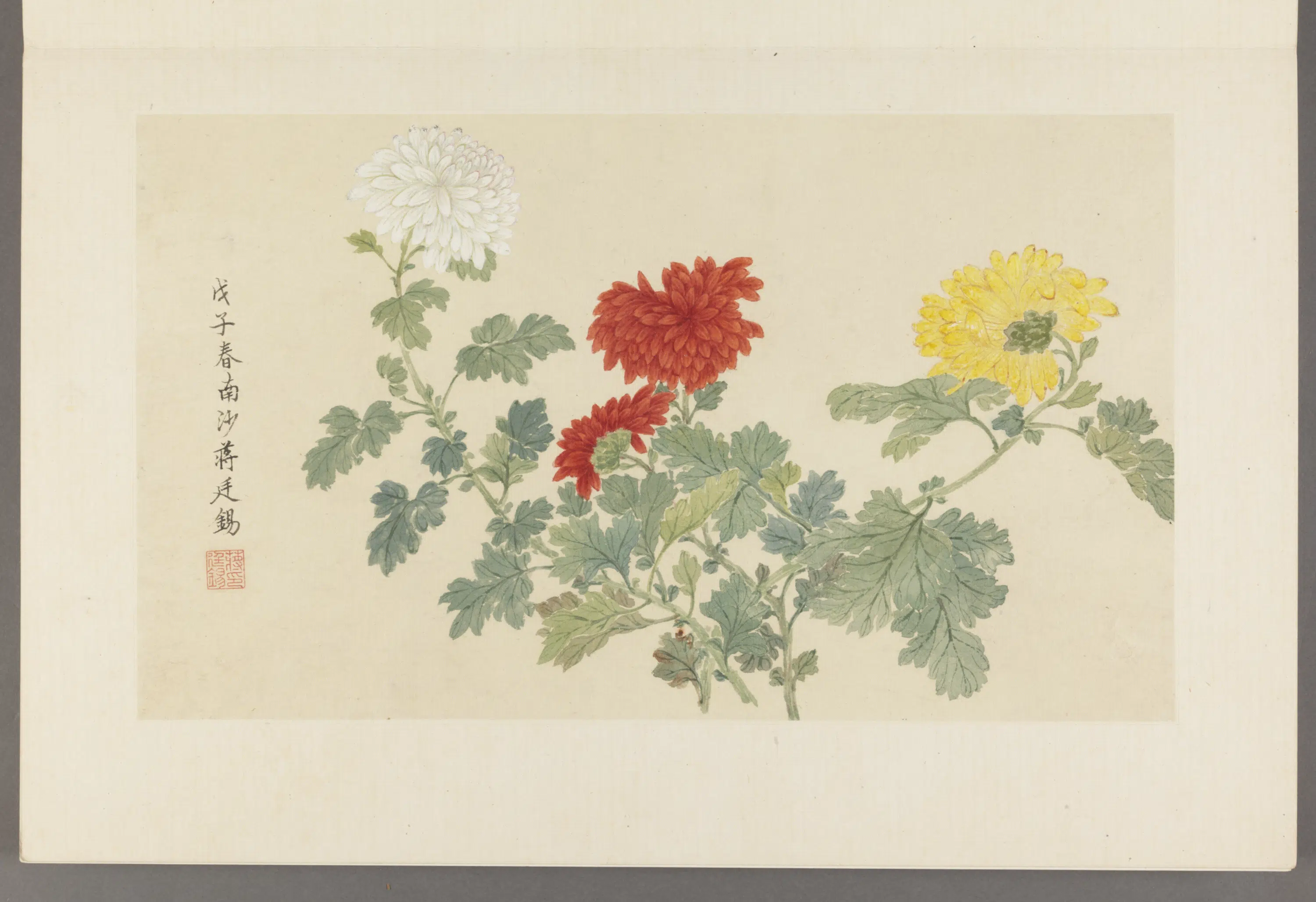 清代【蒋廷锡】《花卉册页》