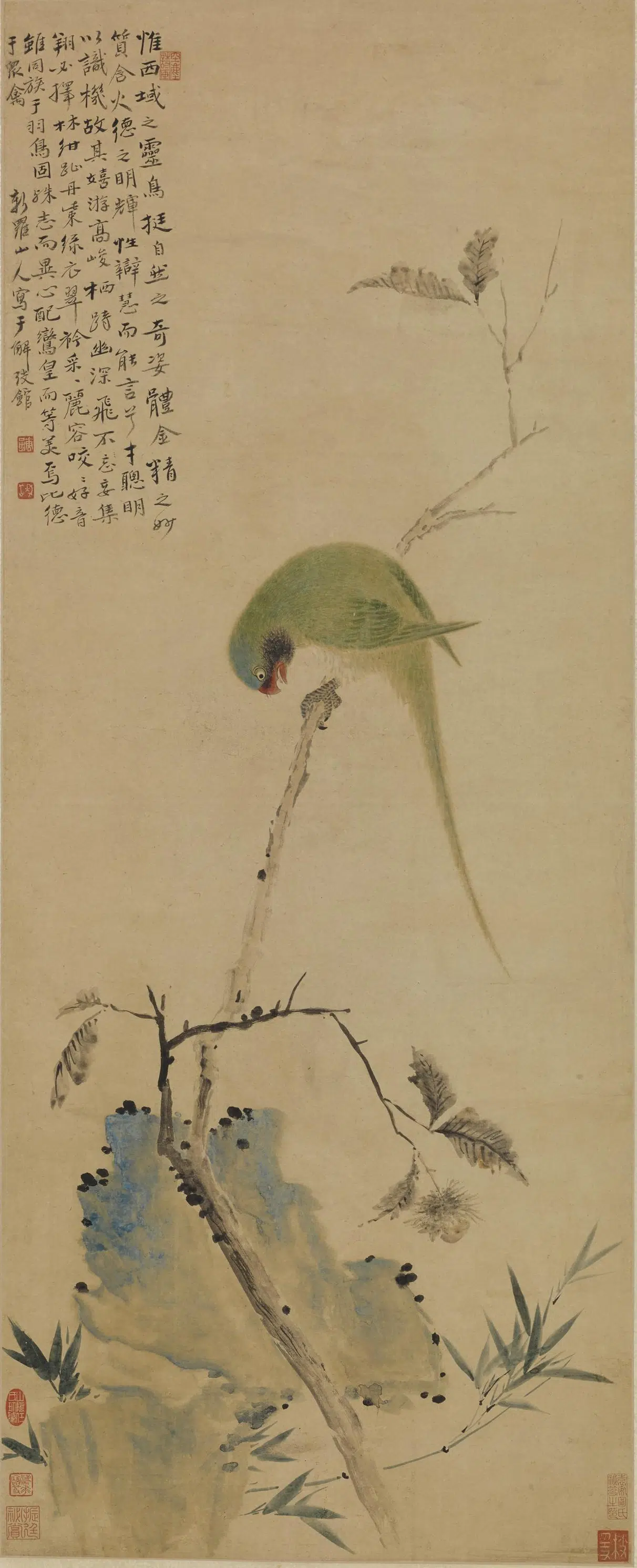 清代【华喦（华岩)】《鹦鹉图轴》