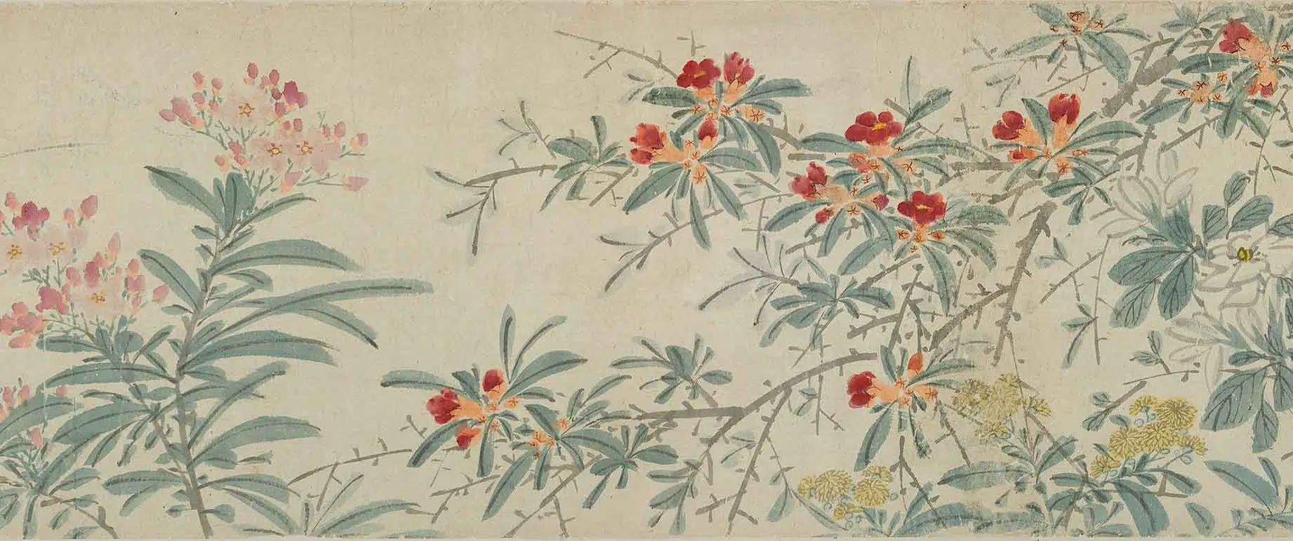 明朝【陈淳（道复）】《四季花卉卷》 第4张