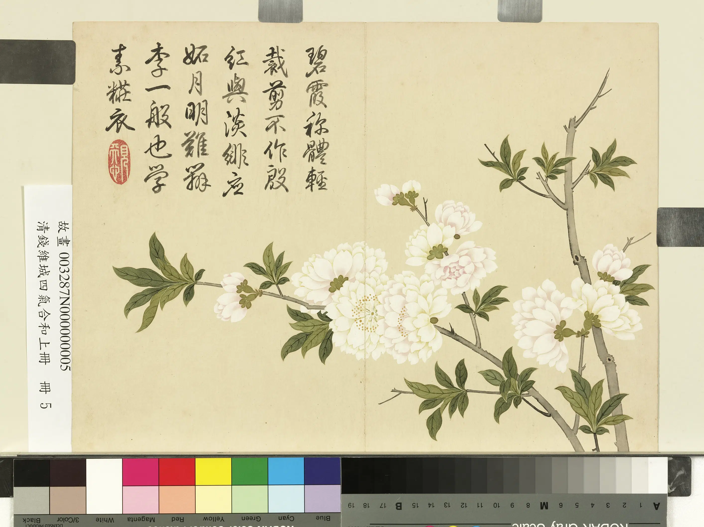 清代【钱维城】《画四气含和上册-梨花》