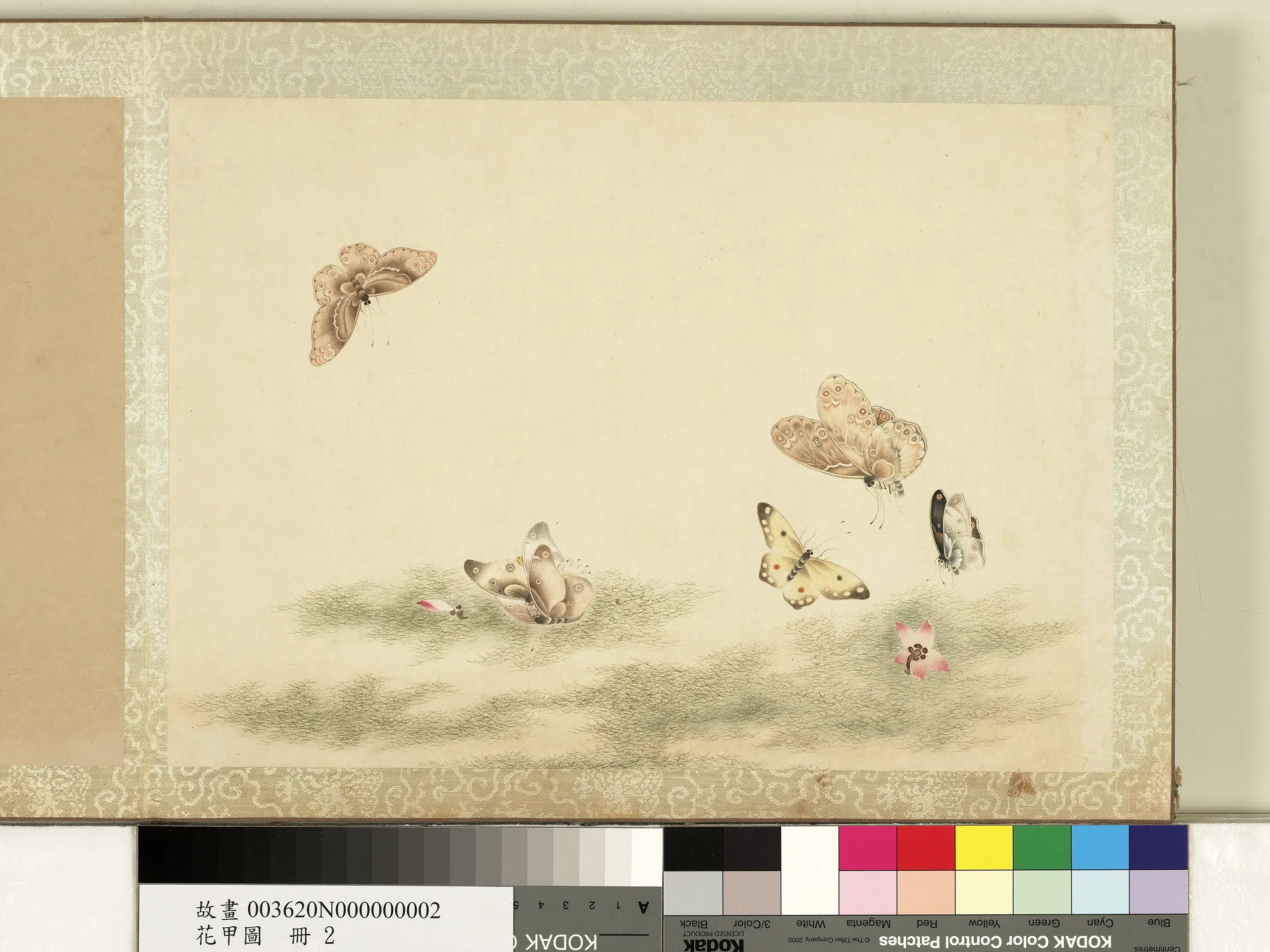 《花甲图册》 第5张 《花甲图册》 第5张