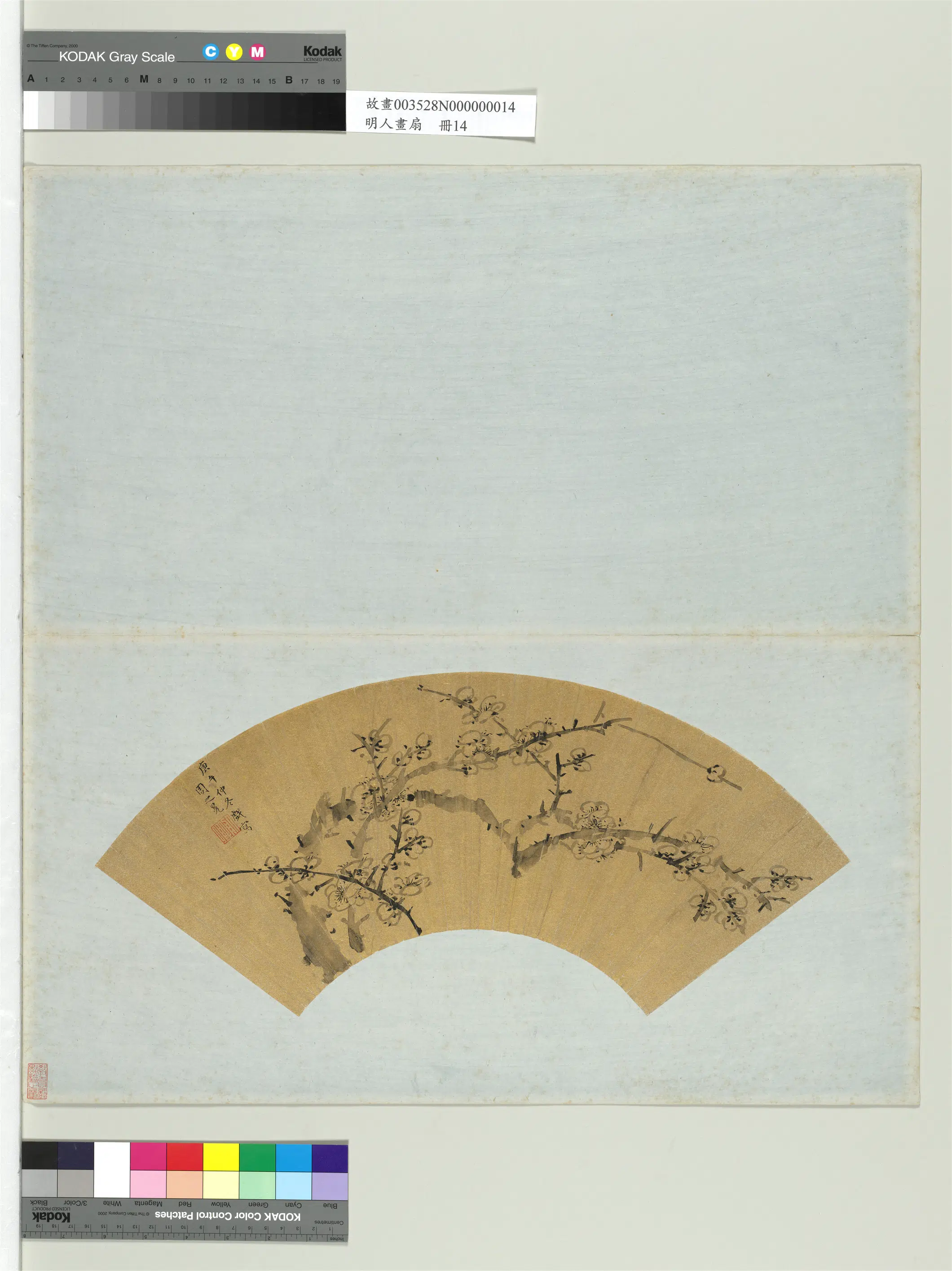 明朝【周之冕】《梅花图-明人画扇册》