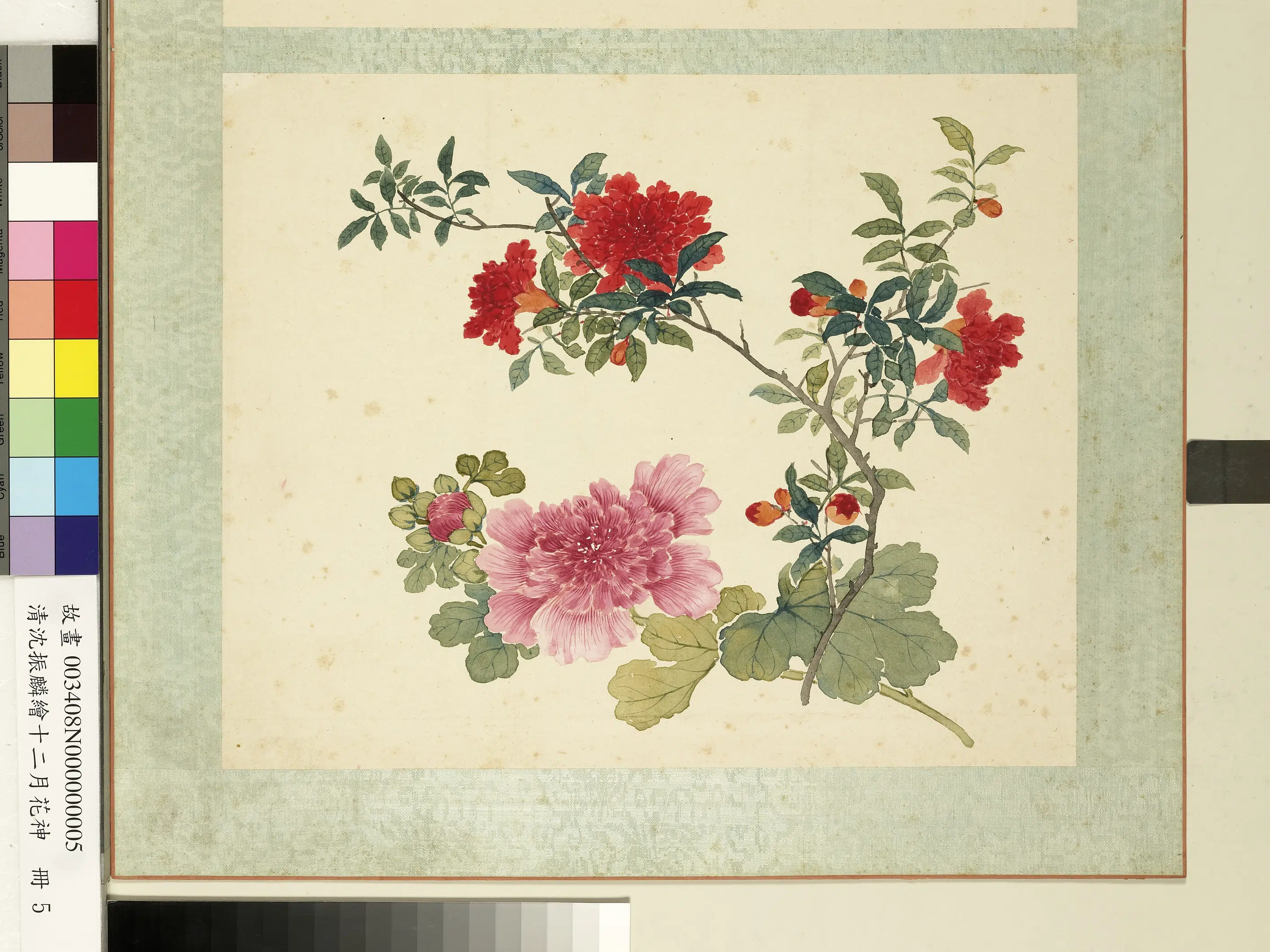 清朝【沈振麟】《绘十二月花神册_蜀葵石榴》