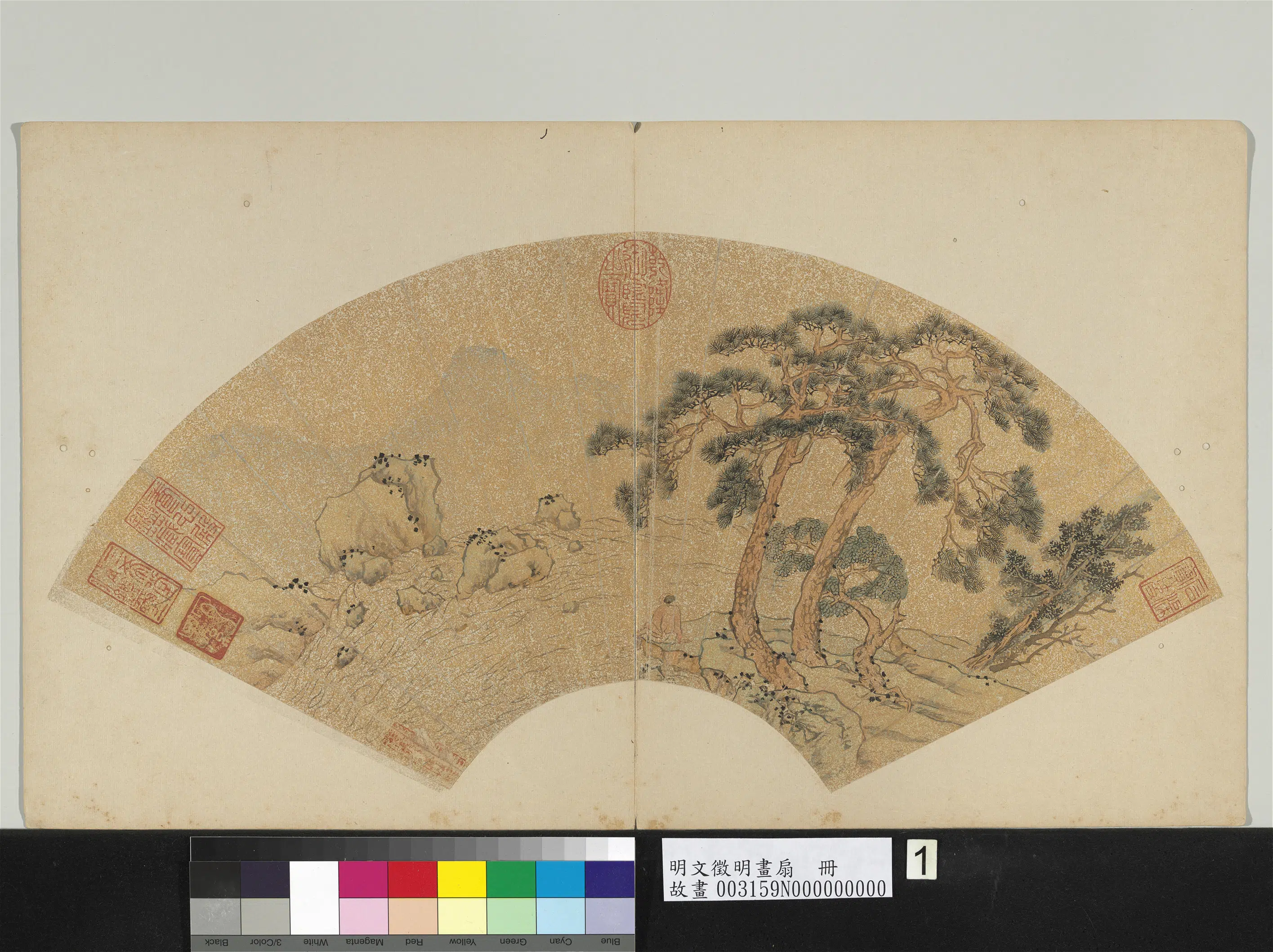 明朝【文征明徵明】《画扇册-坡石高松》