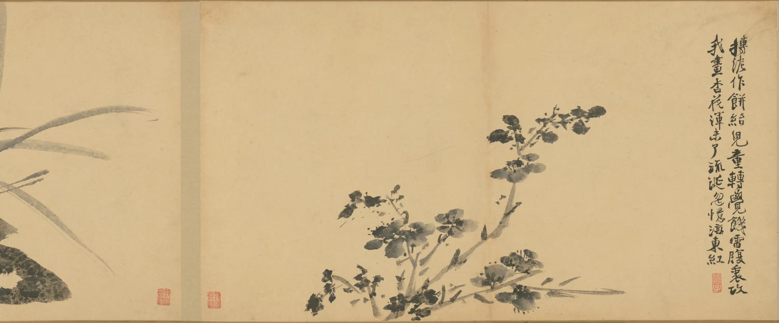 明朝【徐渭】《墨花卷》 第26张