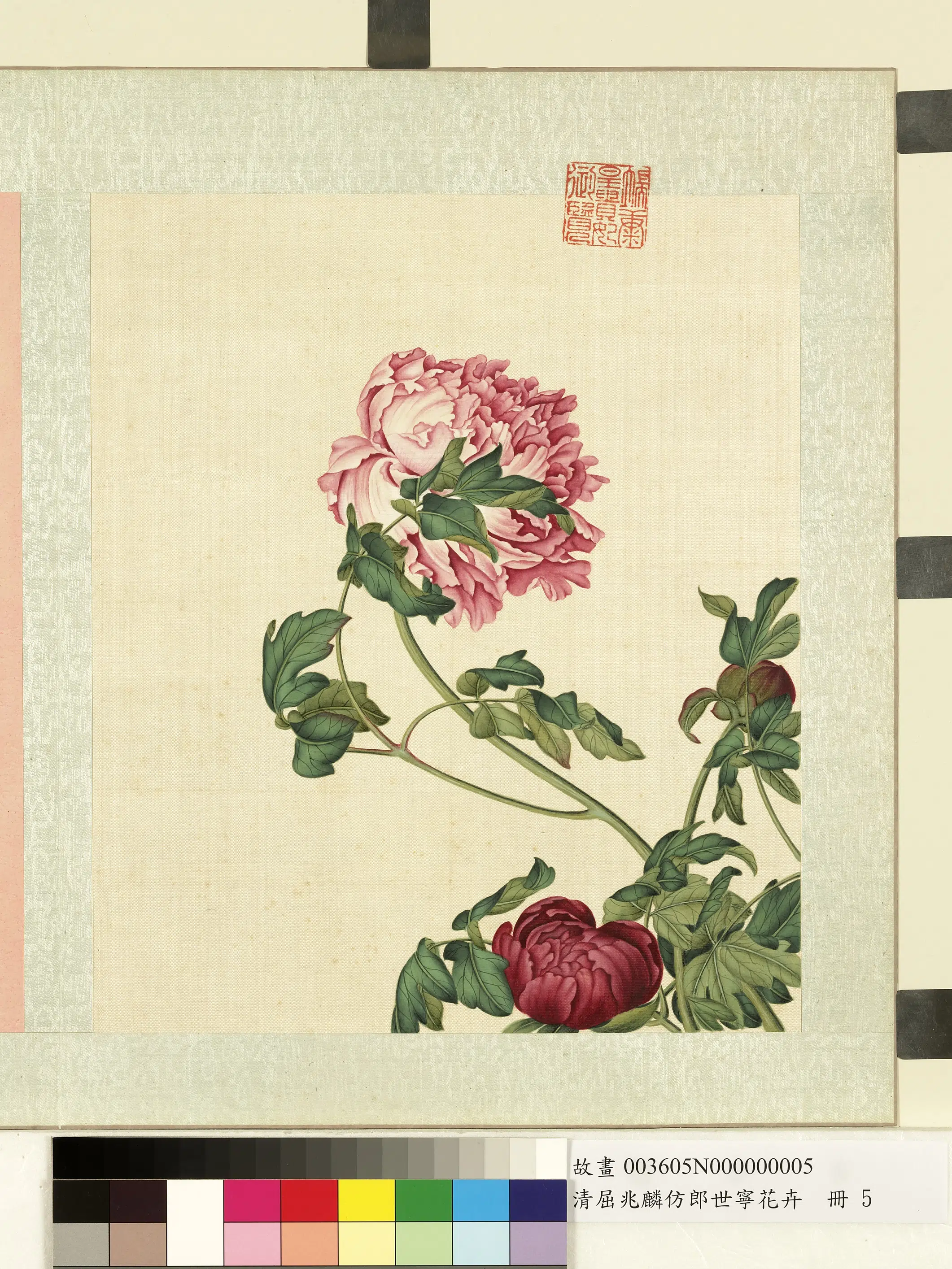 清代【屈兆麟】《仿郎世宁花卉册》 第4张 清代【屈兆麟】《仿郎世宁花卉册》 第4张