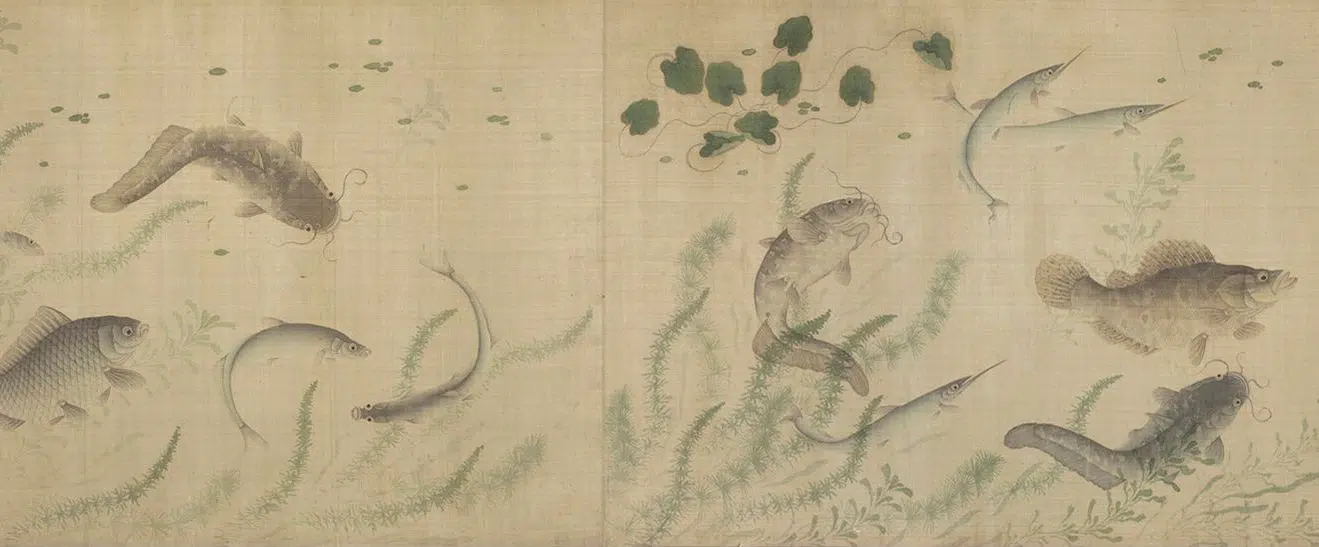 明代【佚名】《群鲜朝鲤图》 第11张