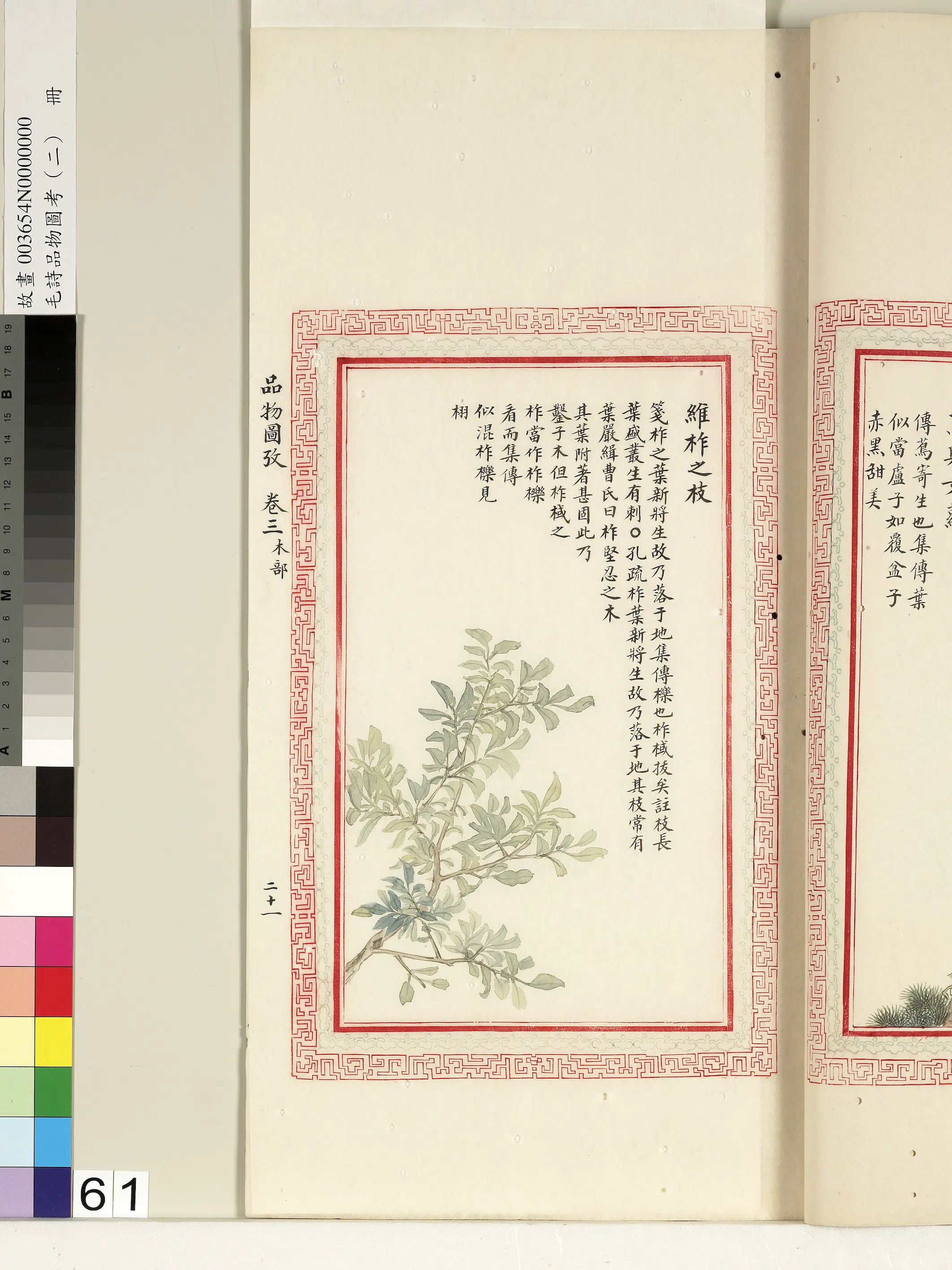清朝【佚名】《毛诗品物图考（二）册-维柞之枝柞棫拔矣榛楛济济其灌其栵-1》