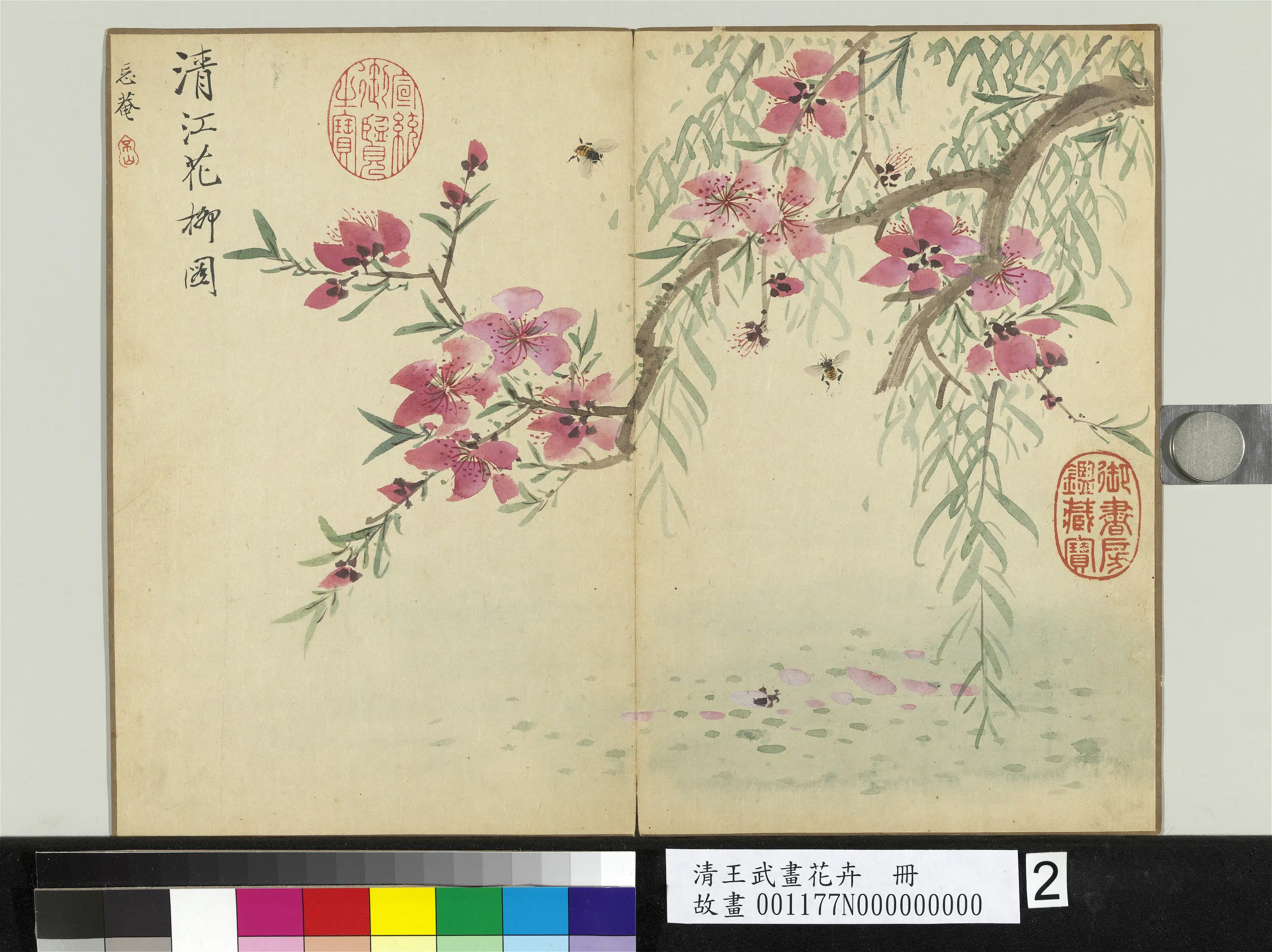 清代【王武】《画花卉册》 第3张