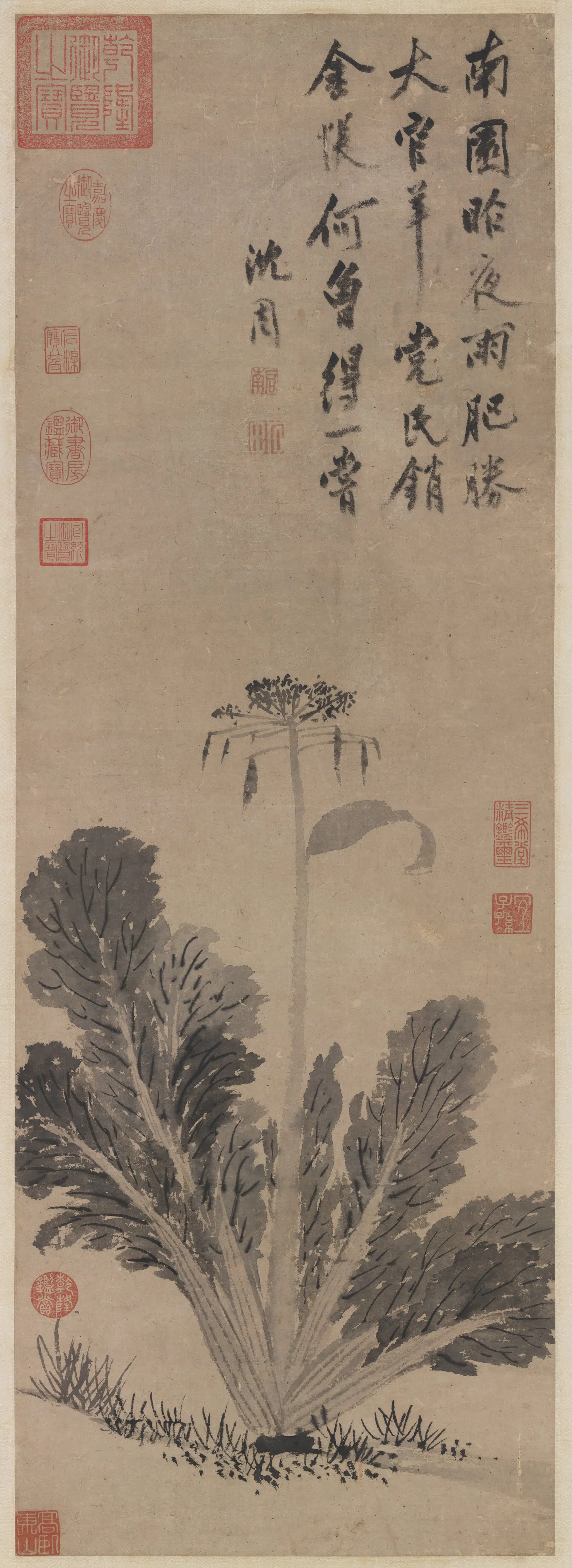 明朝【沈周】《蔬菜图轴》